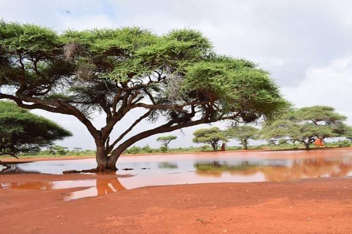 Somali Region