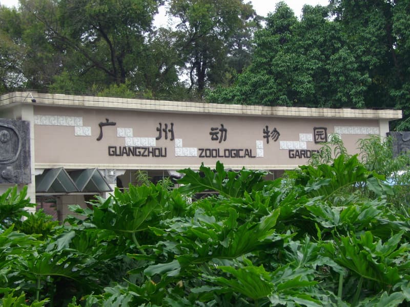 Guangzhou Zoo