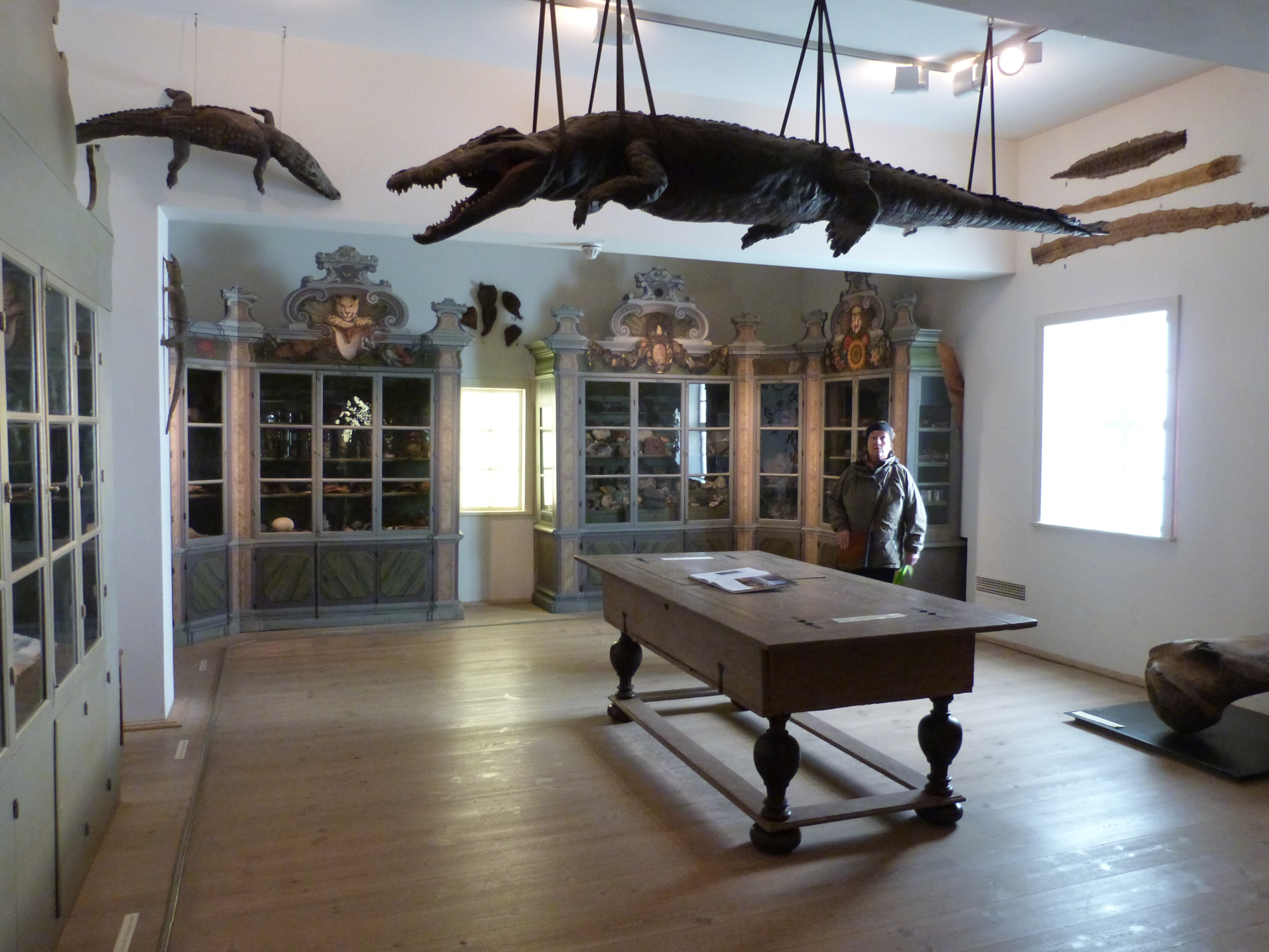 Art and Naturalienkammer of the Francke Foundations