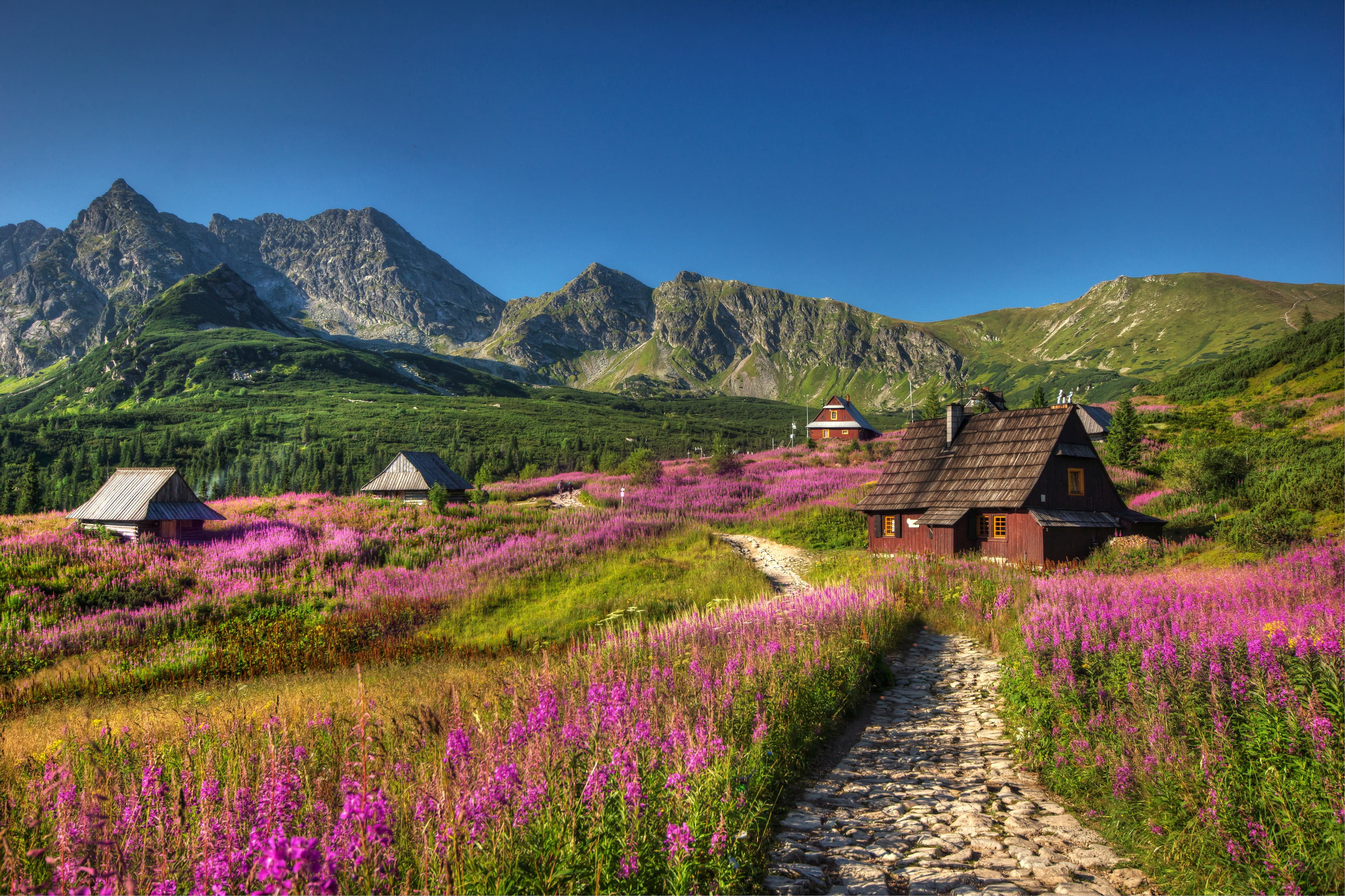 Tatra County