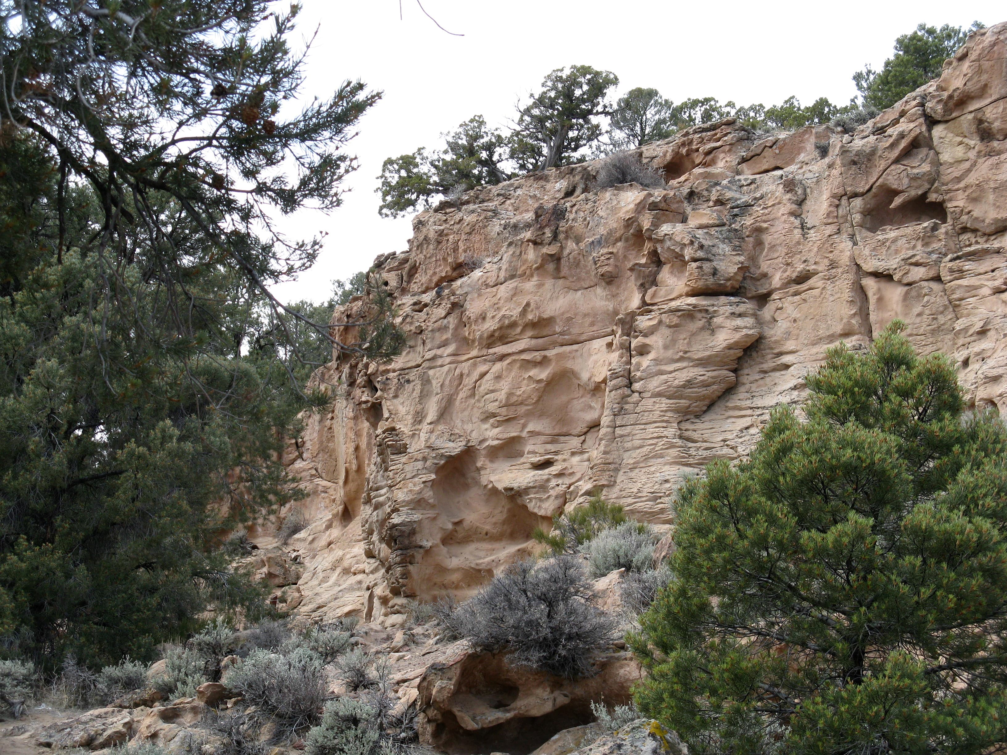 Hickison Petroglyph Recreation Area