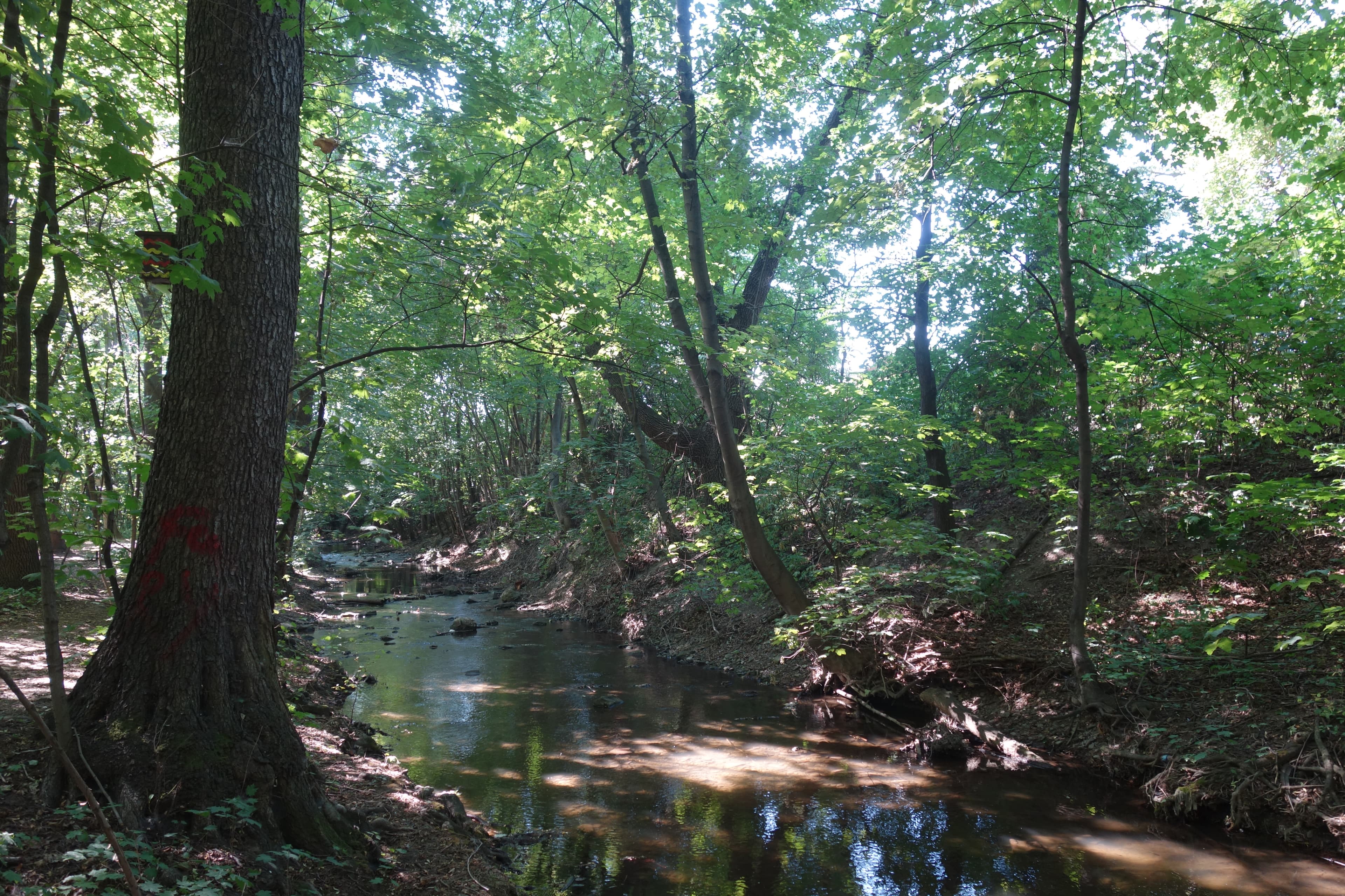 Biokoridor Hloučela
