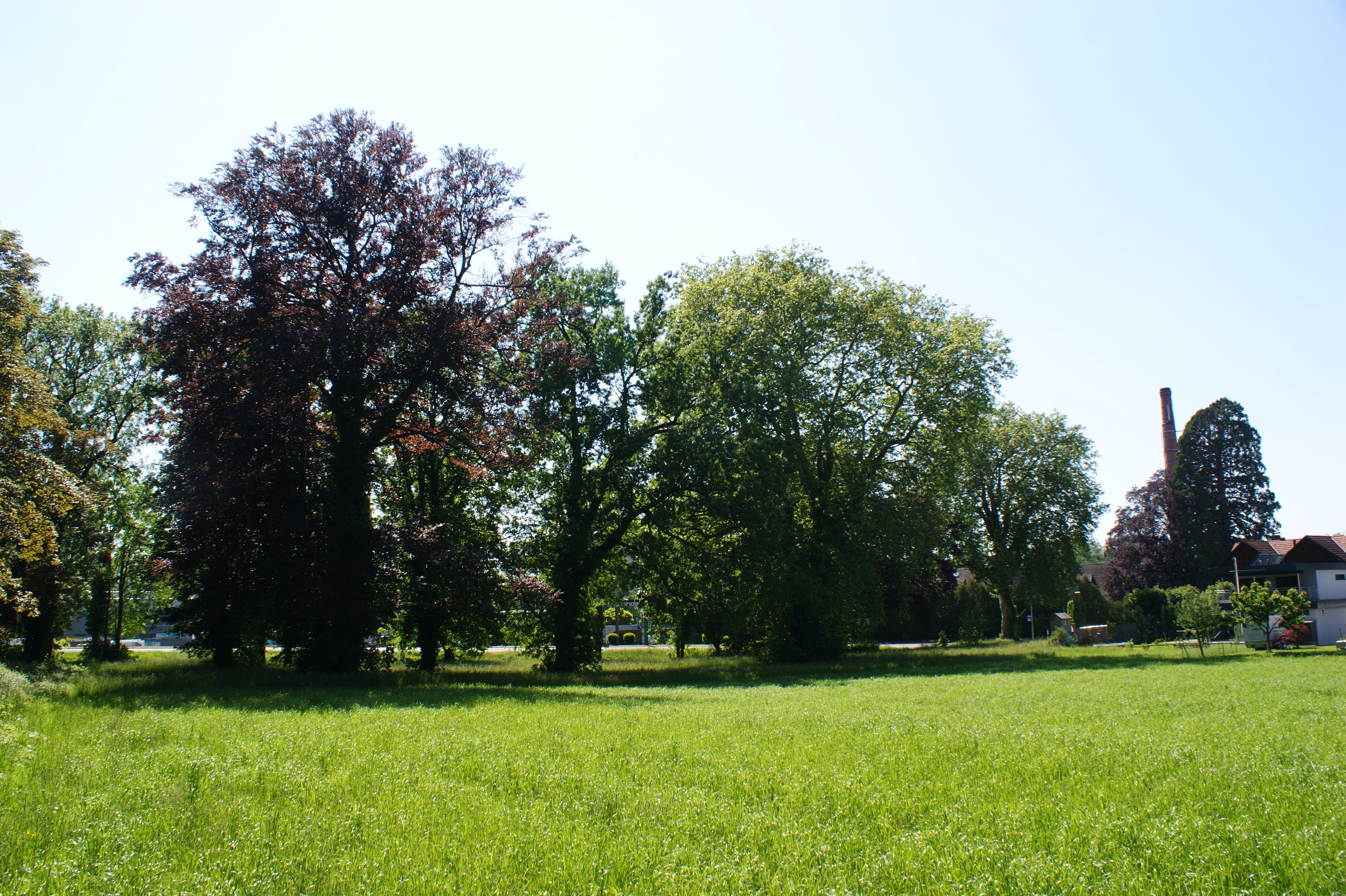 Maihofpark