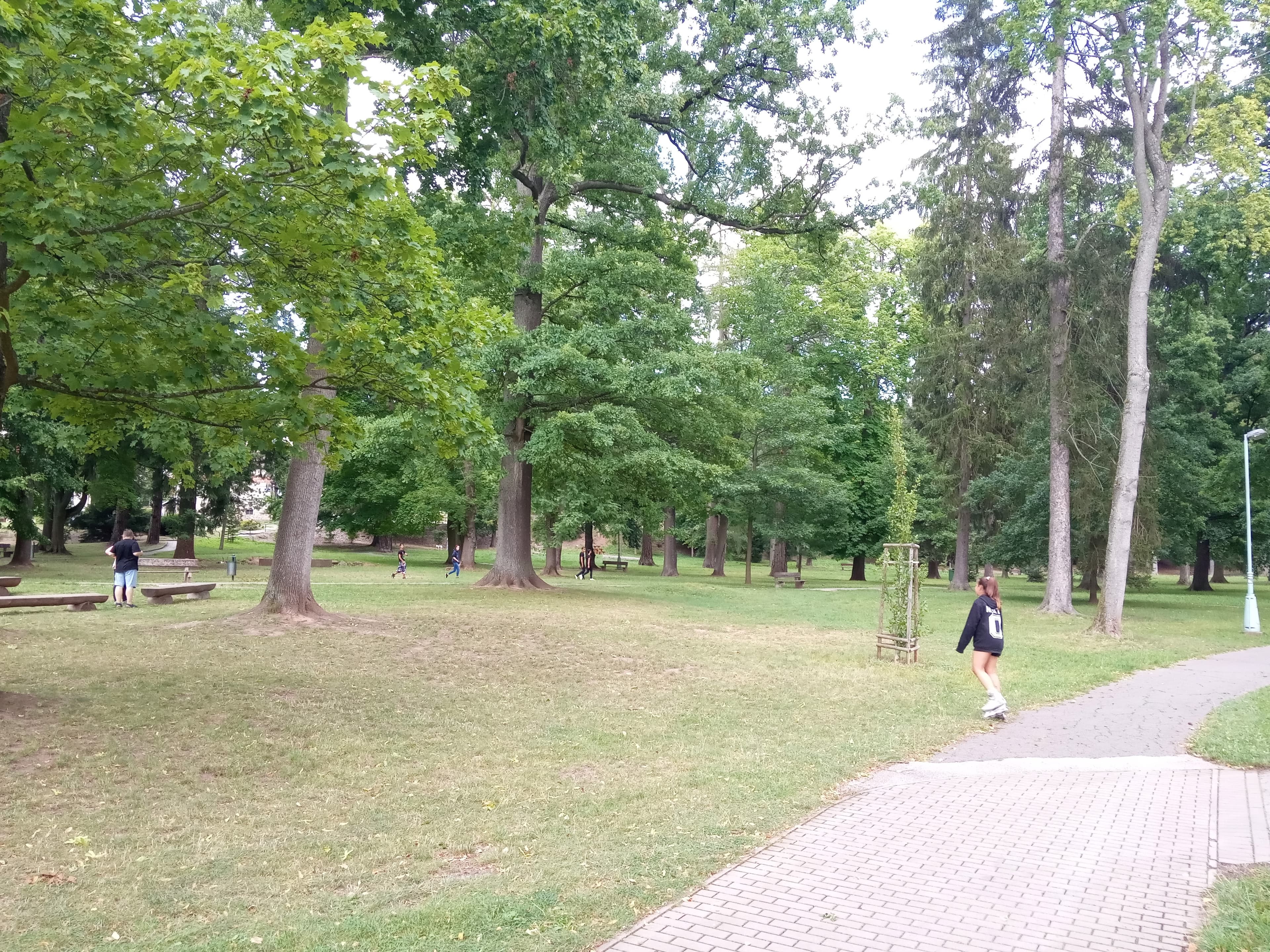 Tyršovy sady (park)