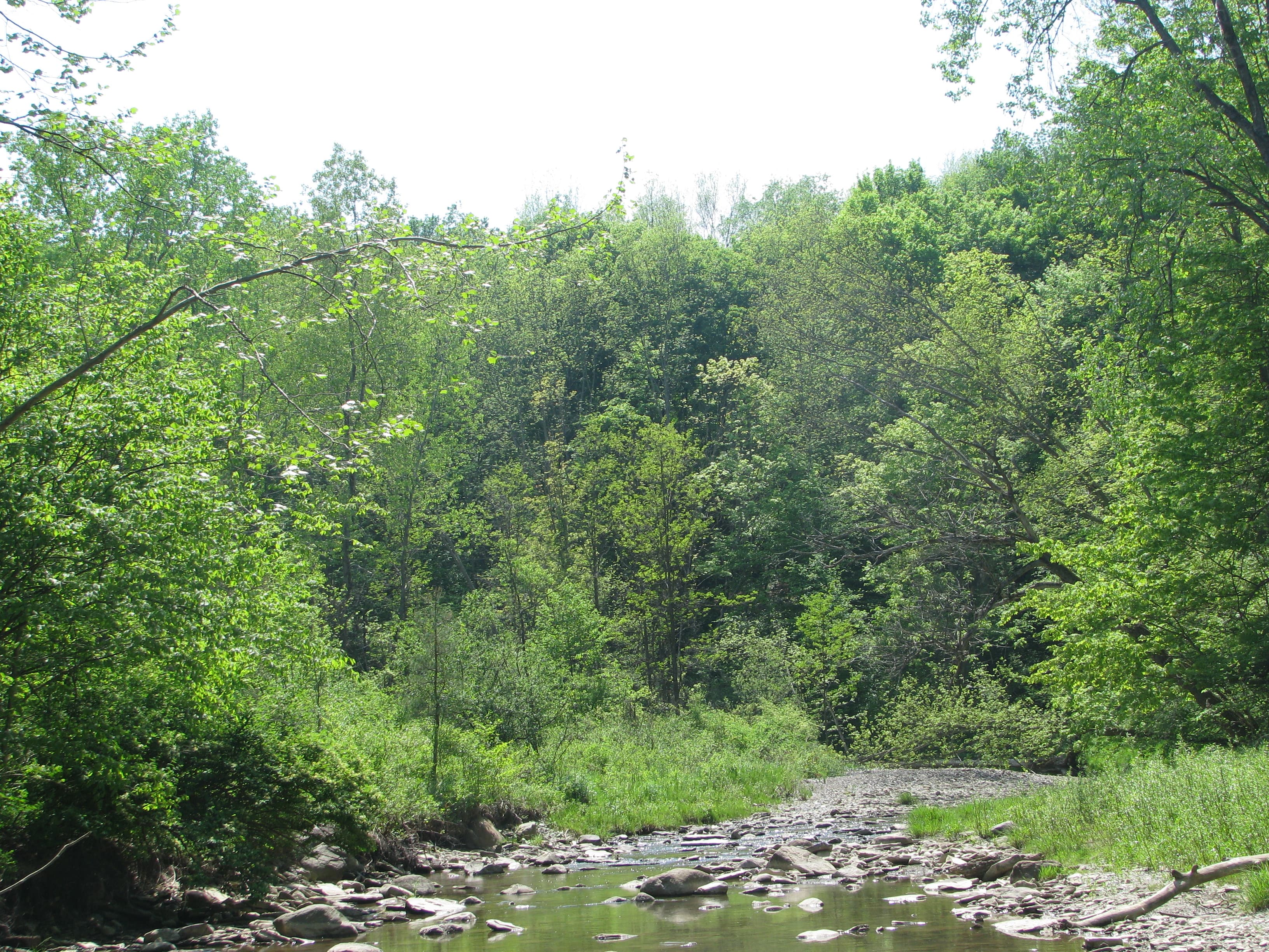 Sgt. Mark A. Rademacher Memorial Park