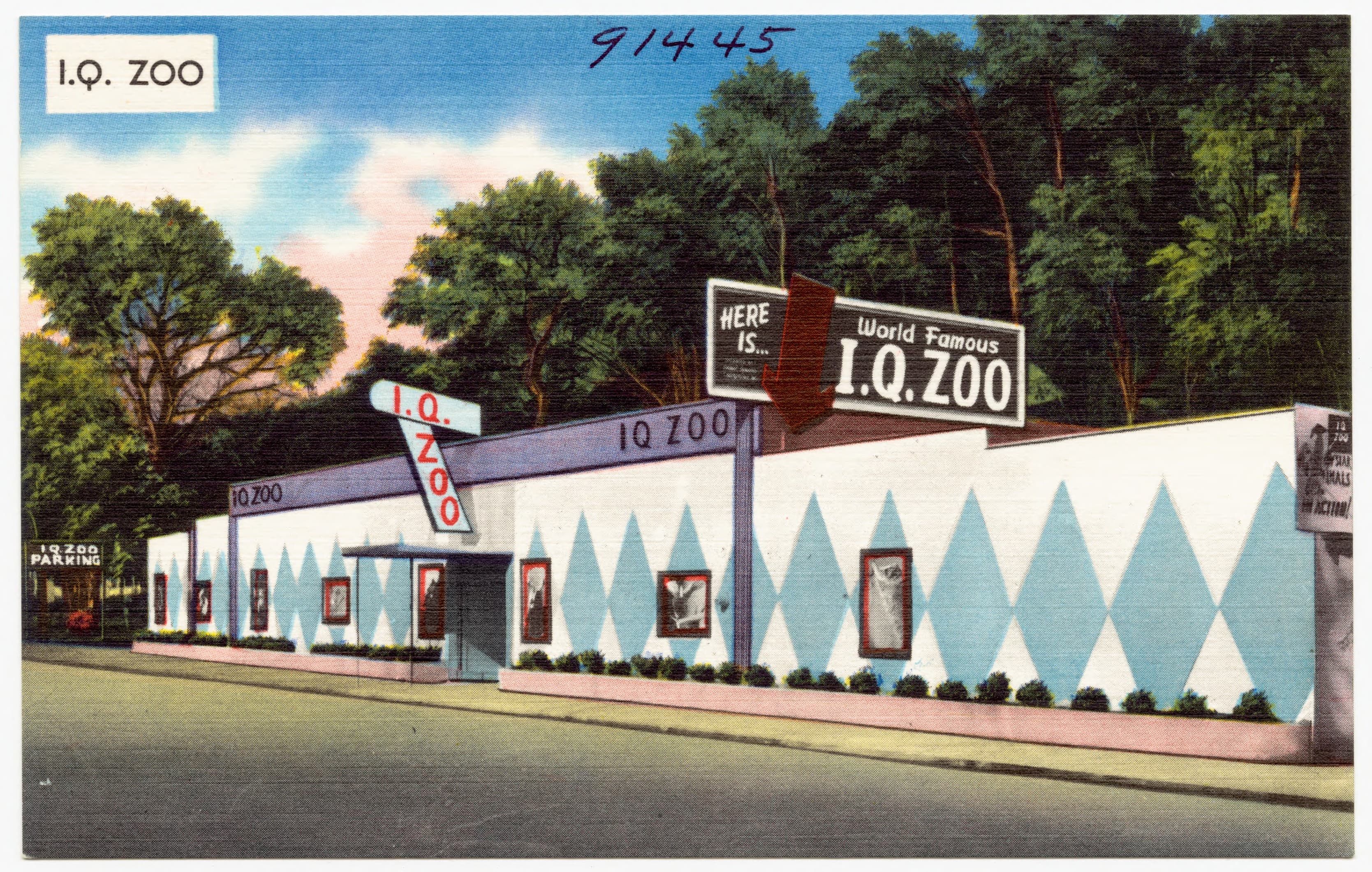 I.Q. Zoo