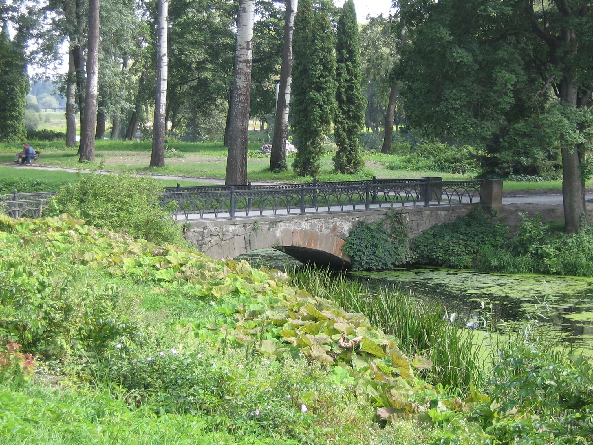 Arboretum Oleksandriya