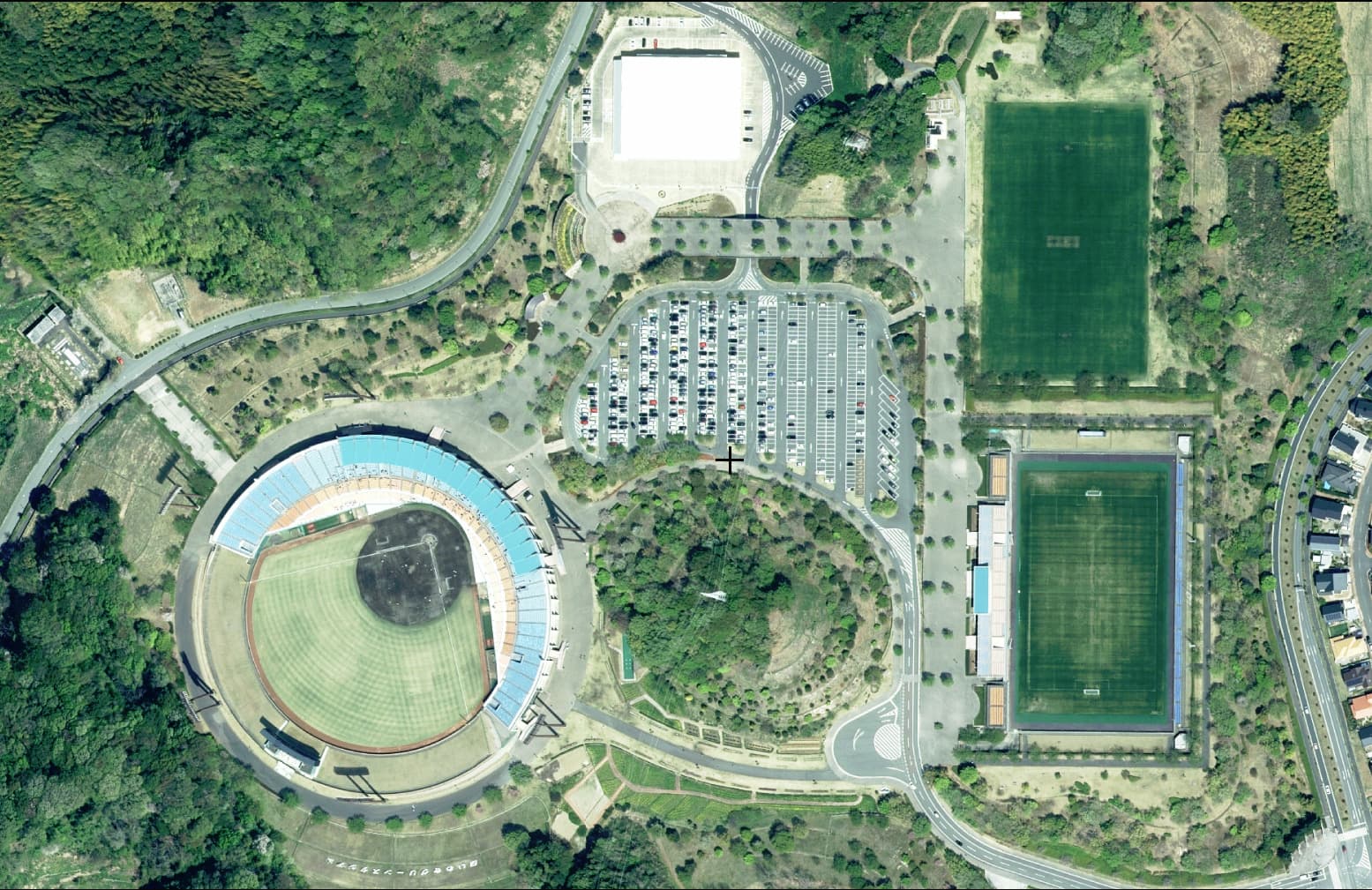 21st Century Forest Park