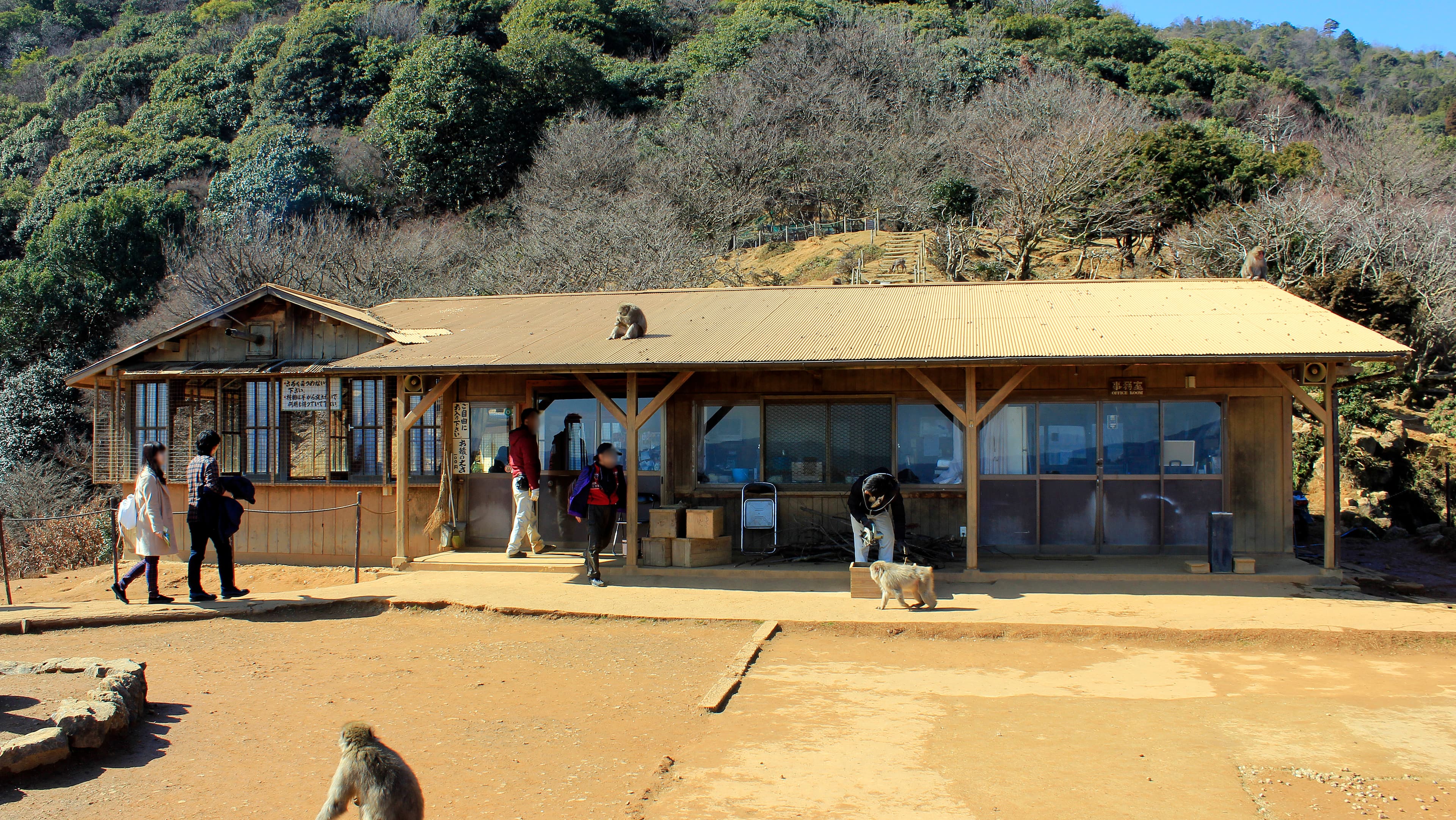 Iwatayama Monkey Park