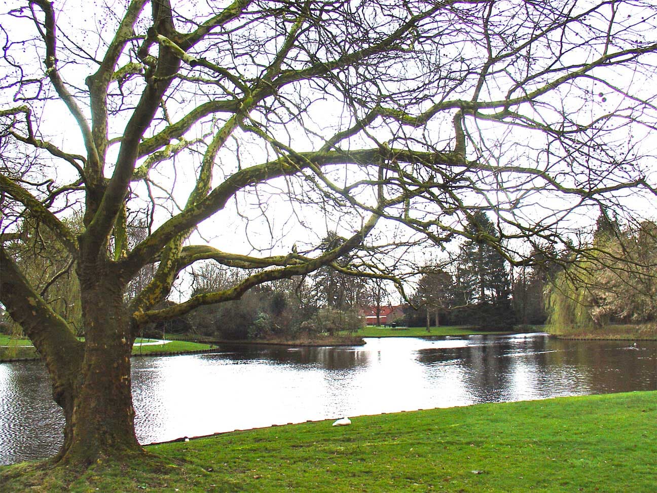 Julianapark, Stadskanaal