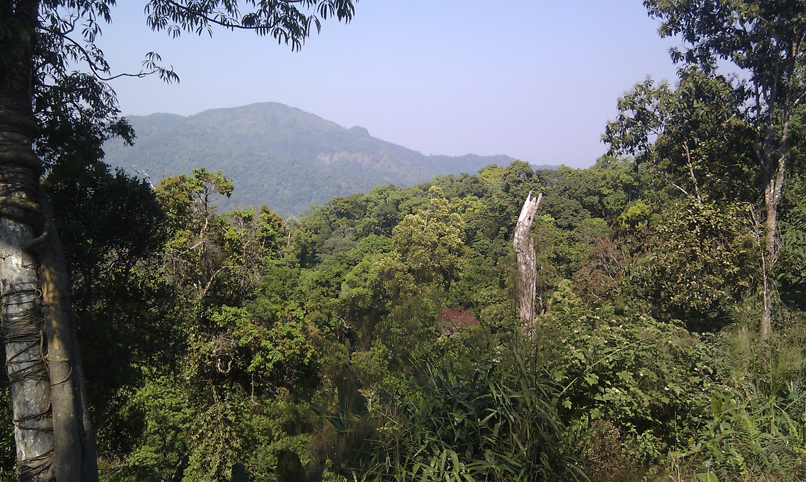 Kaeng Krachan National Park