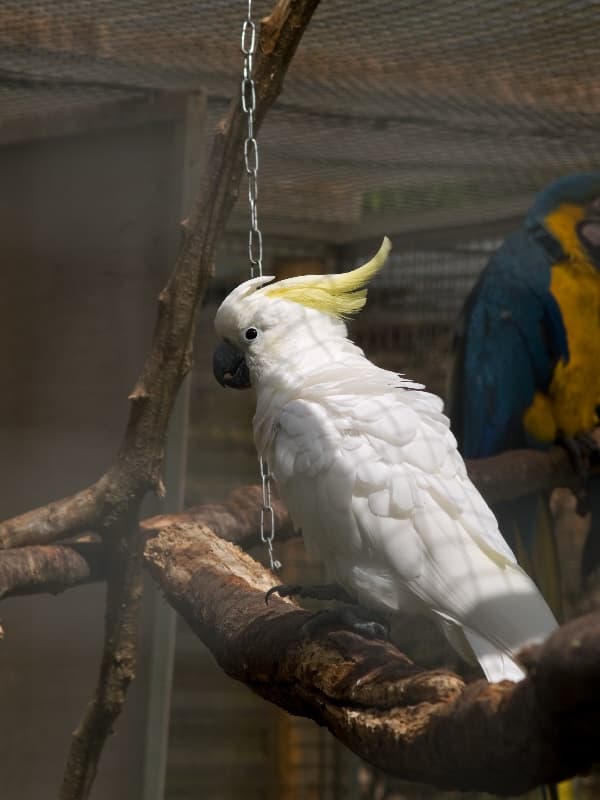 Nordsjællands Fuglepark