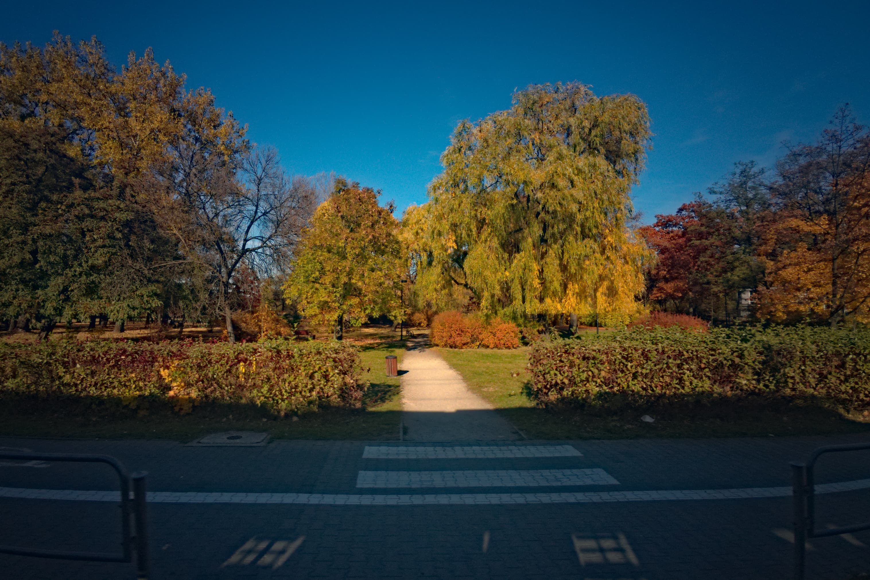 Budnioka Park in Katowice