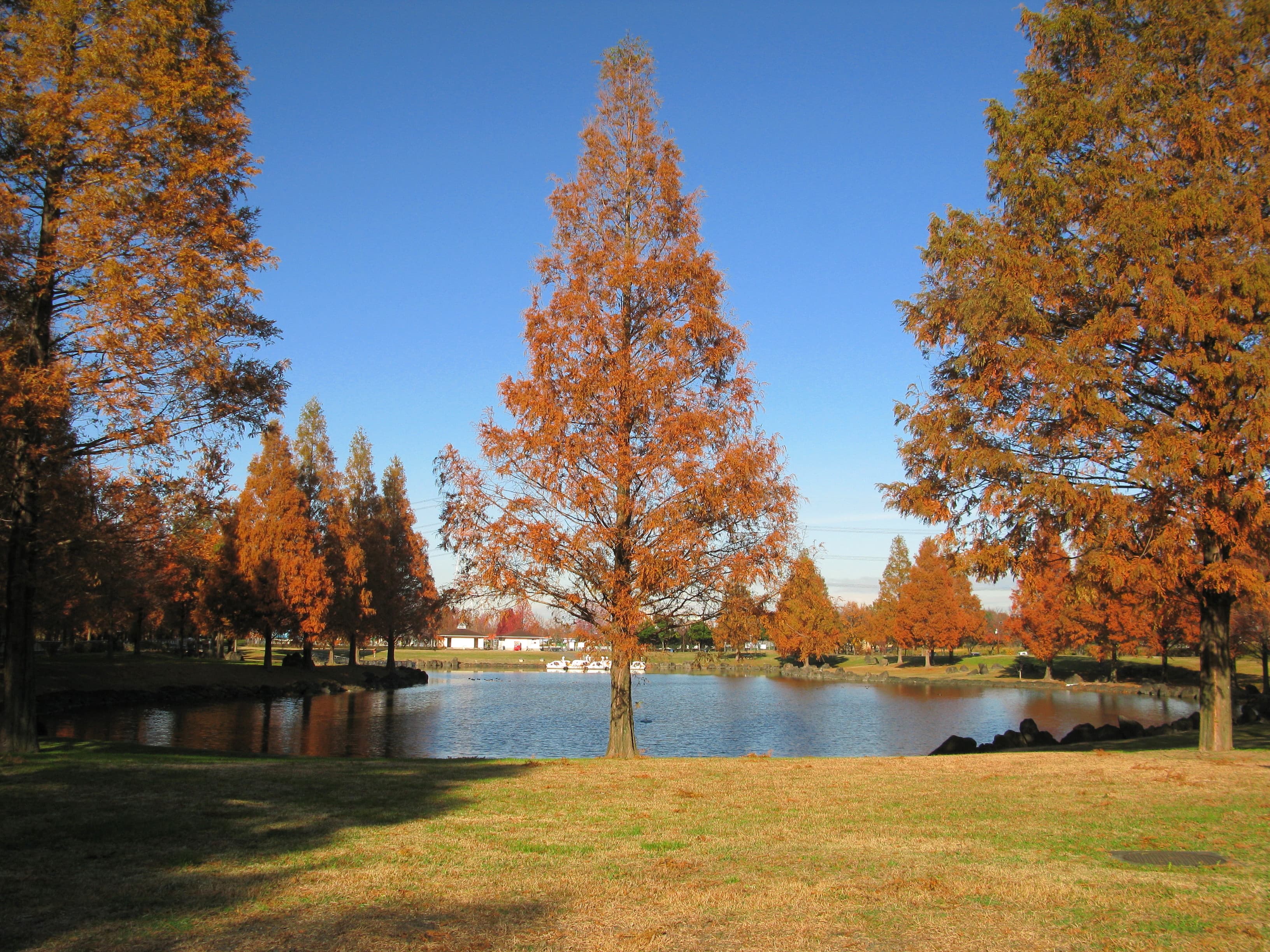 Kazo Hanasaki Park