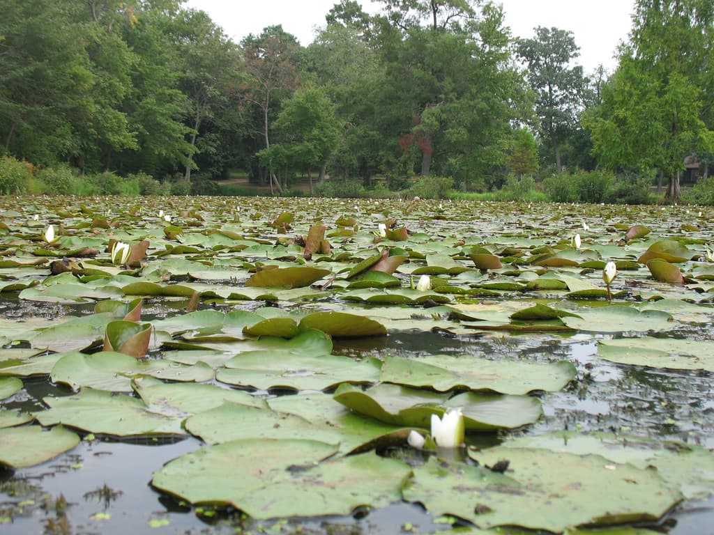Kenilworth Park and Aquatic Gardens