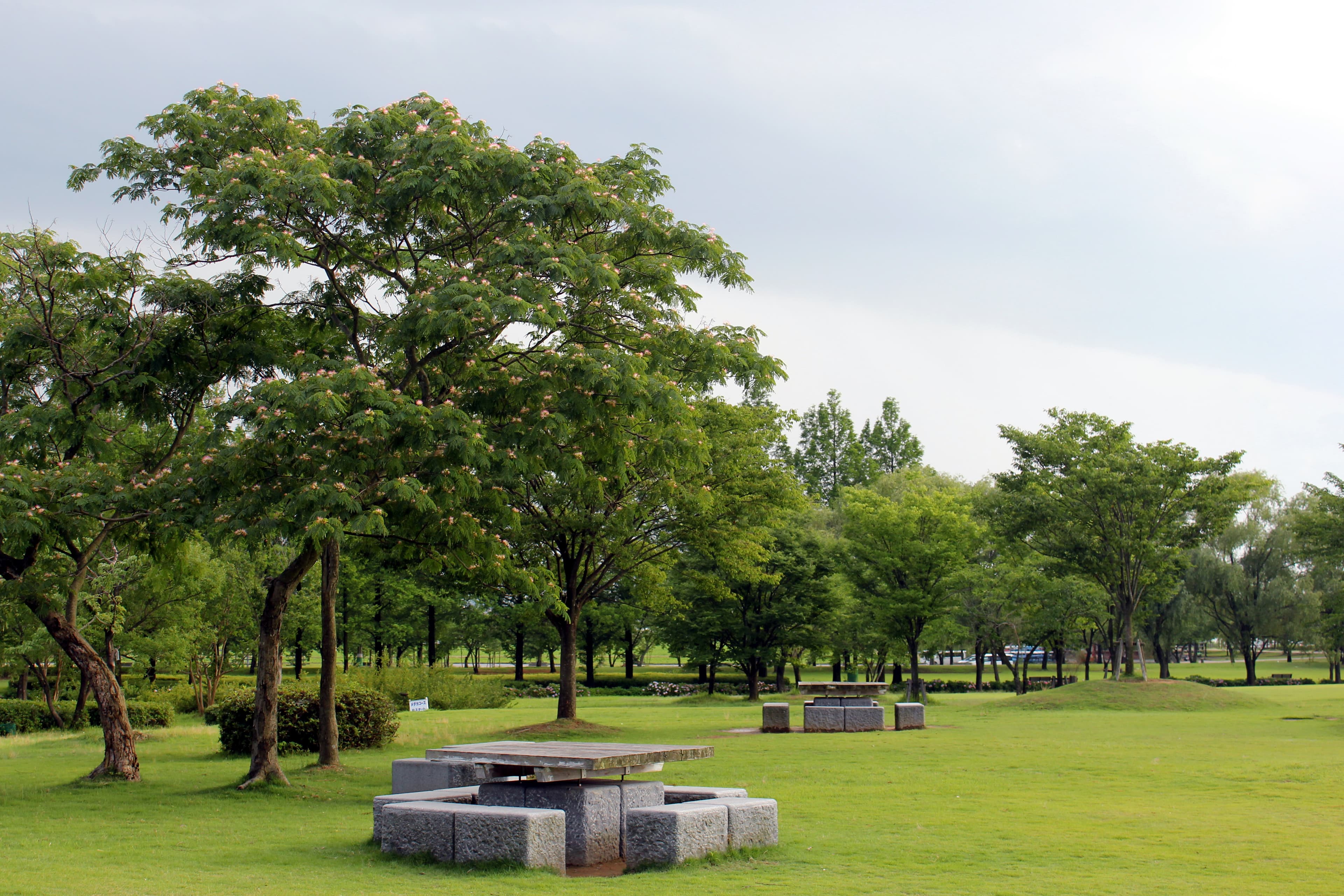 Kibagata Park