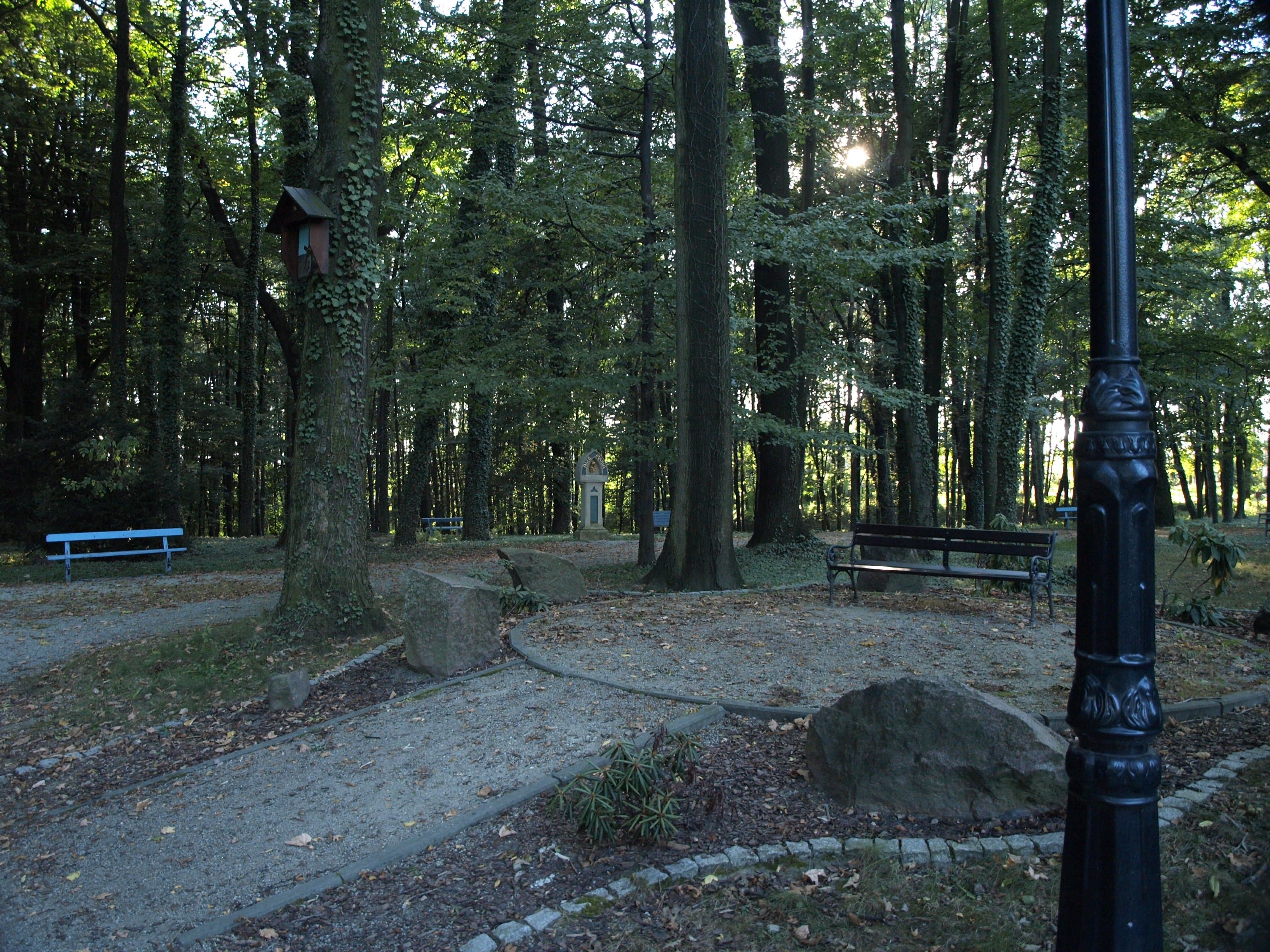 Palace park in Wodzisław Śląski - Kokoszyce