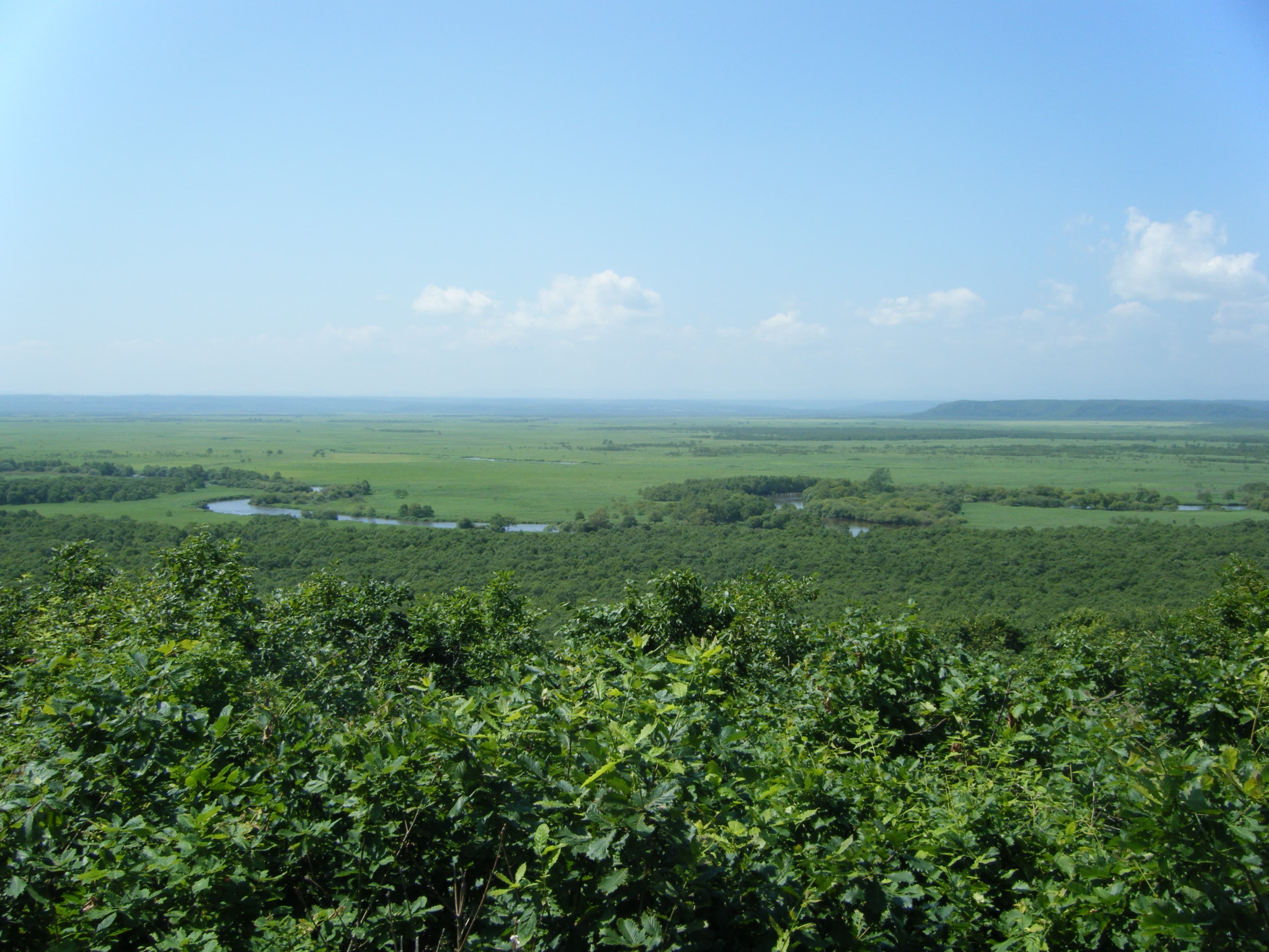 Kushiro-shitsugen National Park