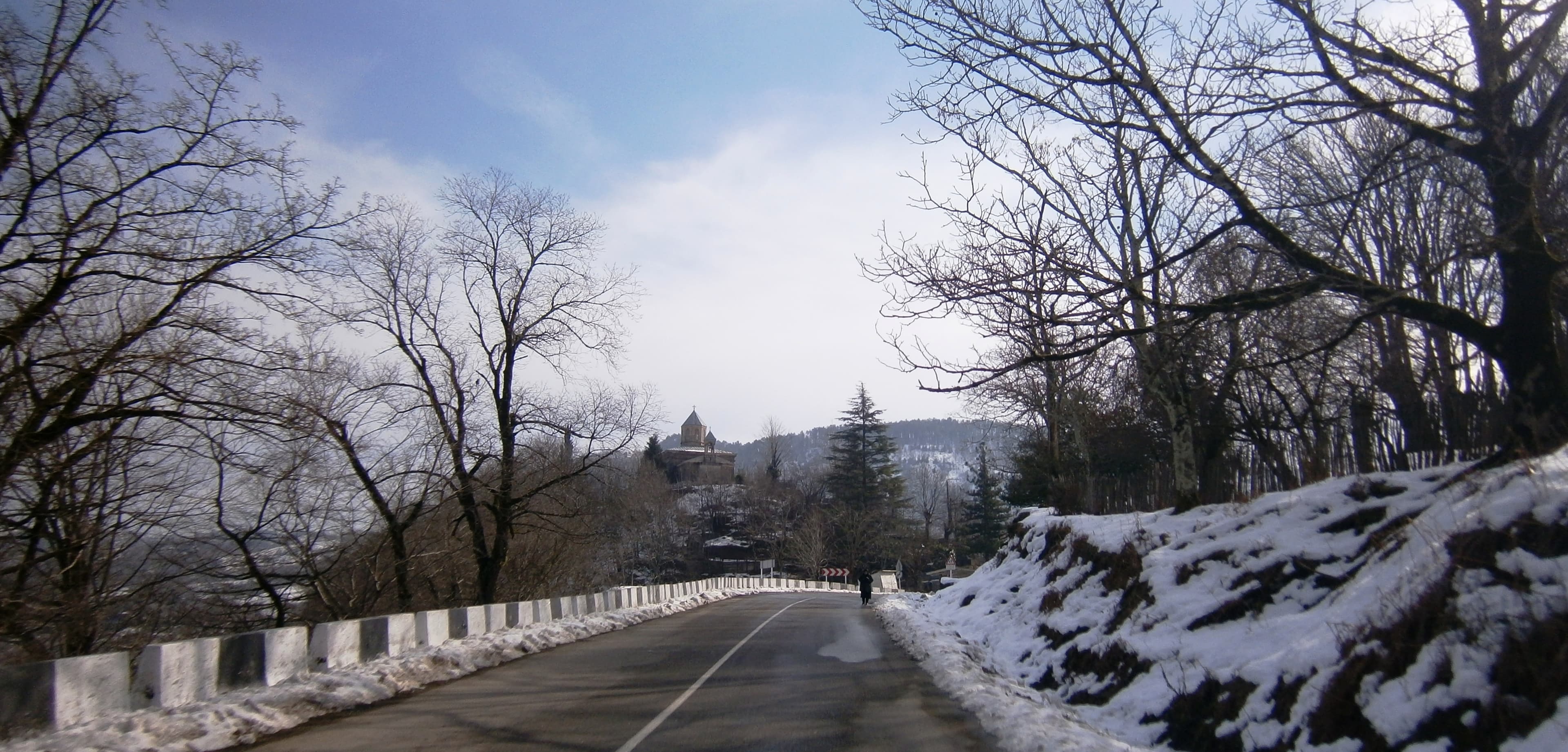 Samtredia Municipality