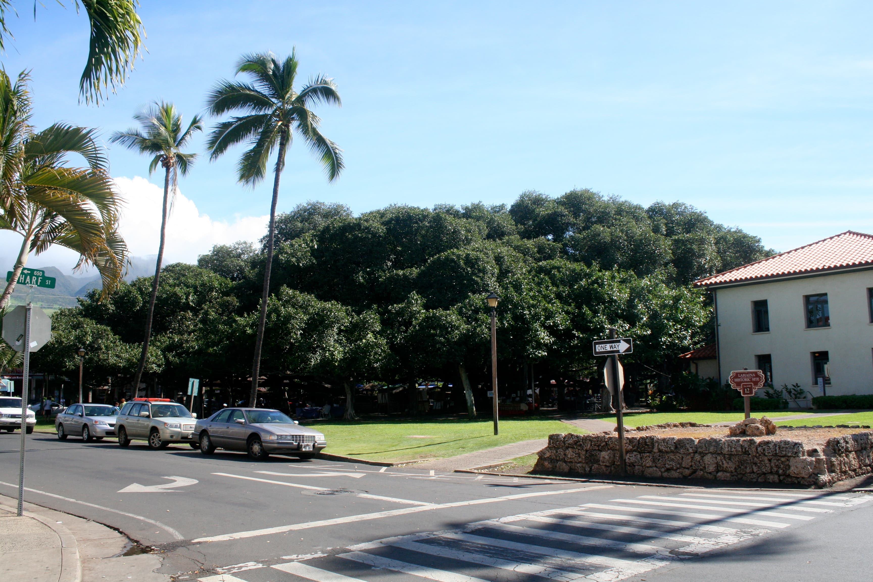 Lahaina Banyan Court Park