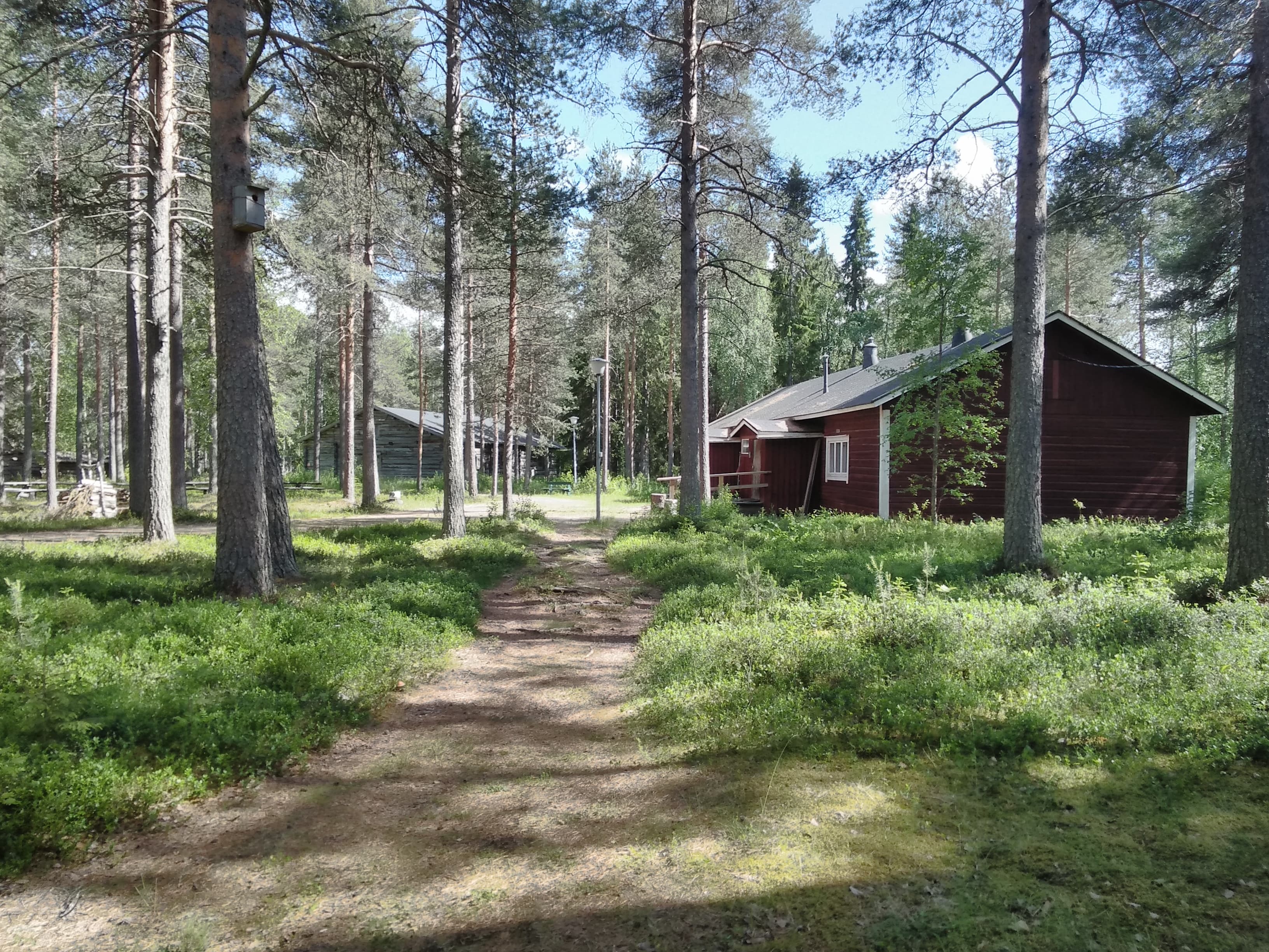 Forestry Museum of Lapland