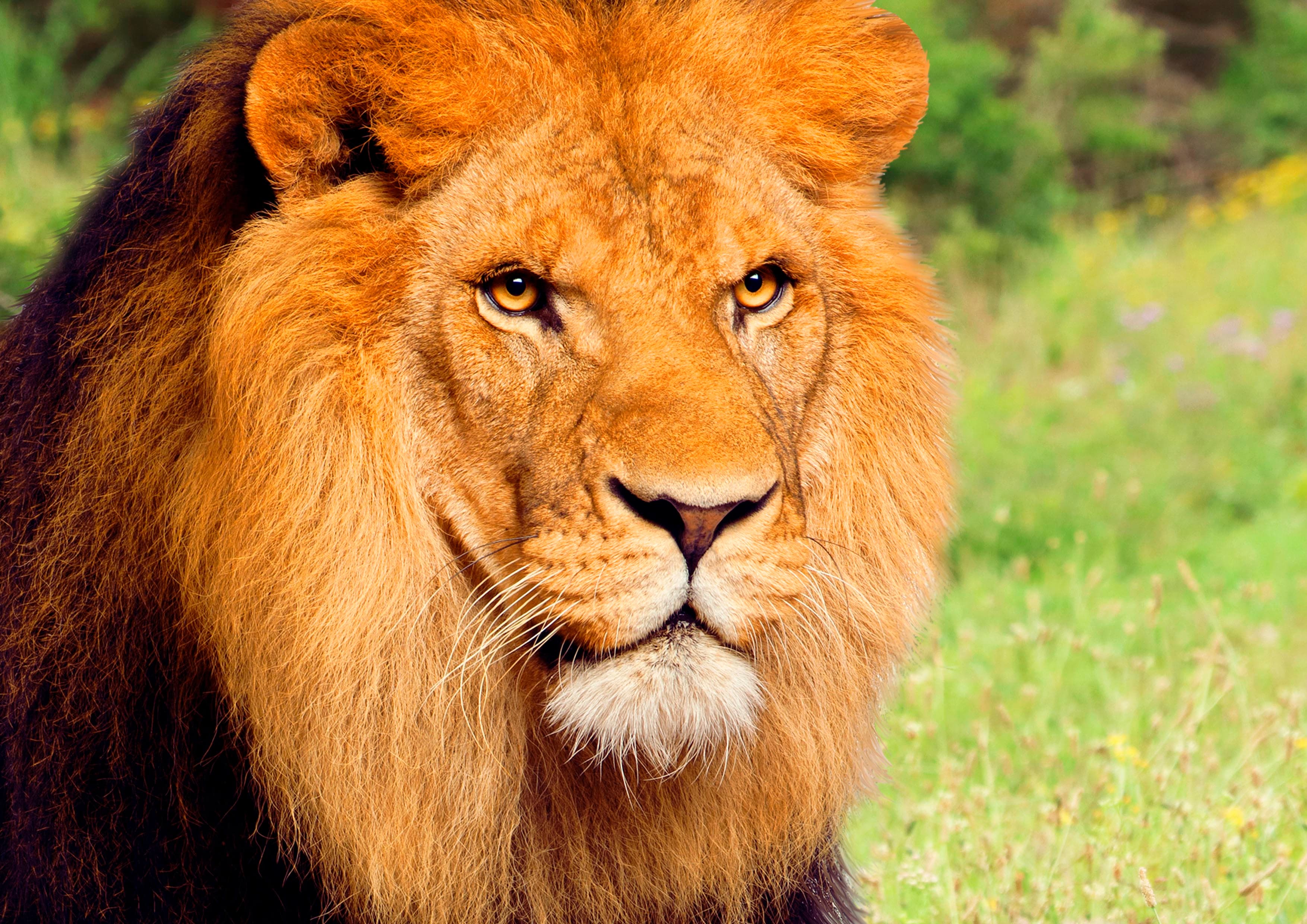 Terra Natura Benidorm