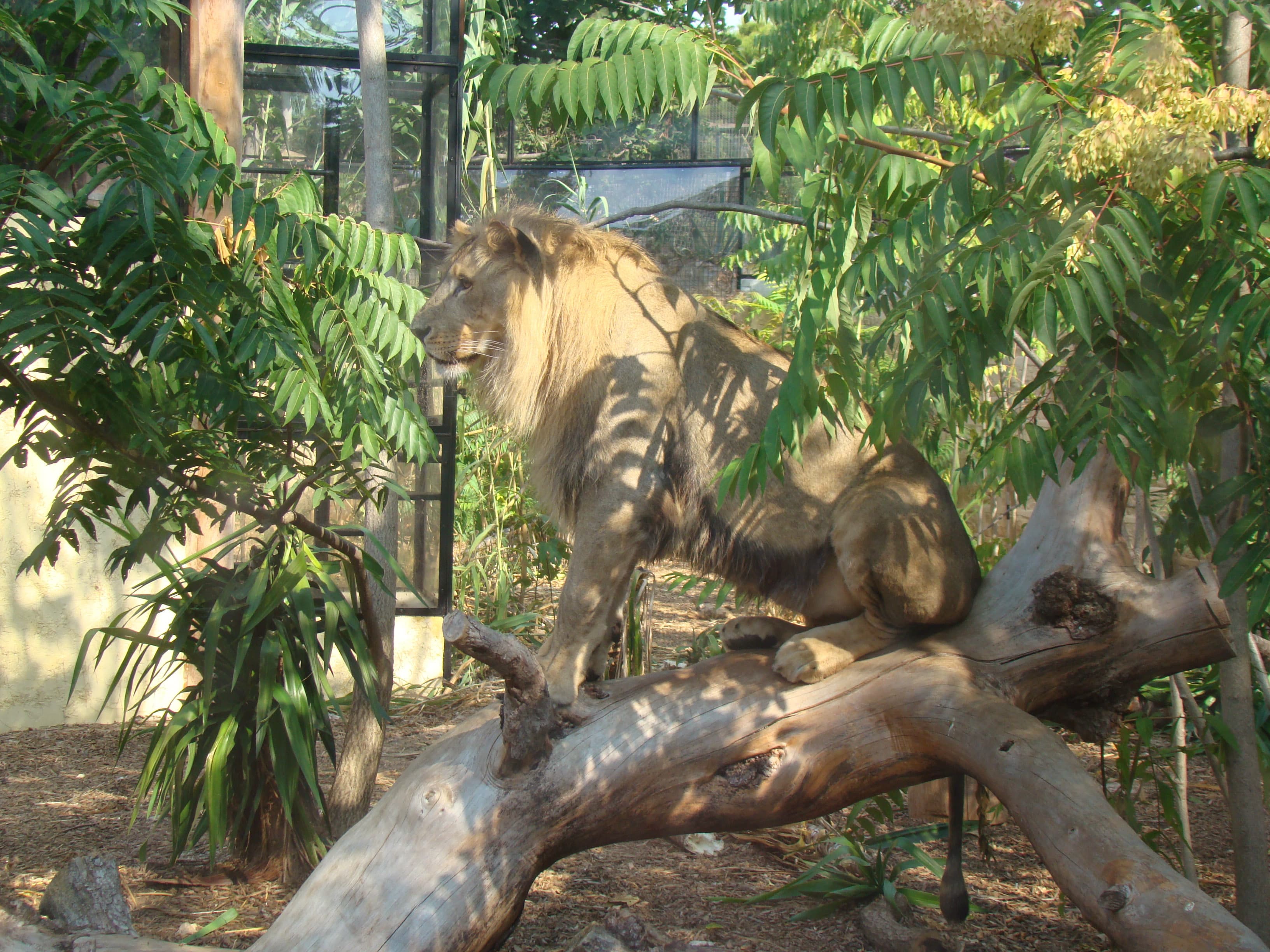 Parc zoologique du Cap Ferrat