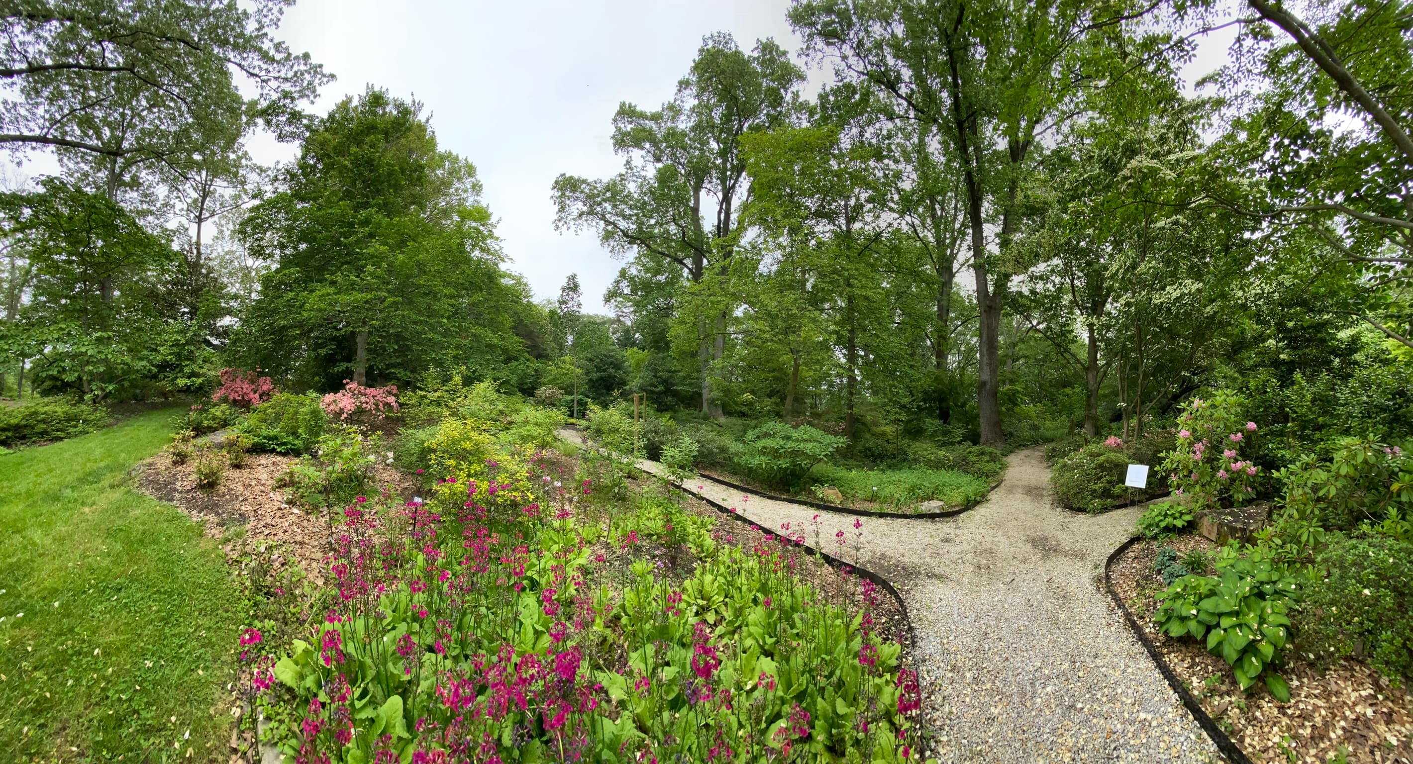 Londontown Public House Park