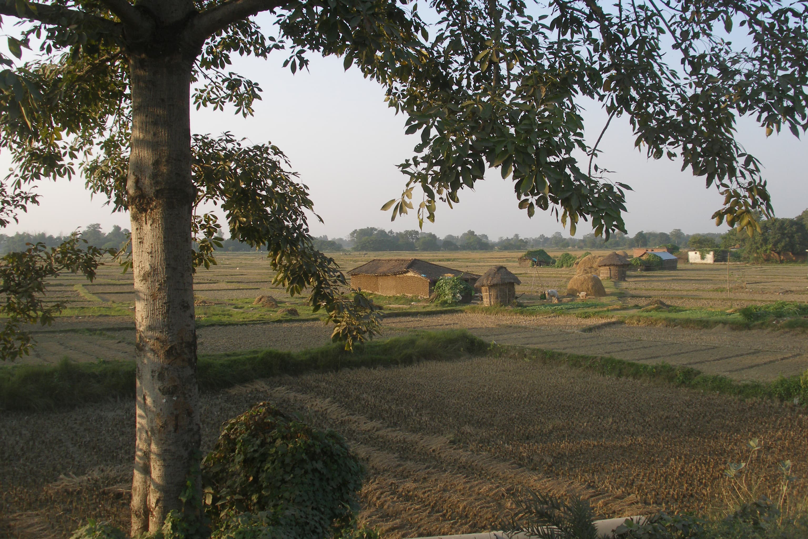 Rupandehi District