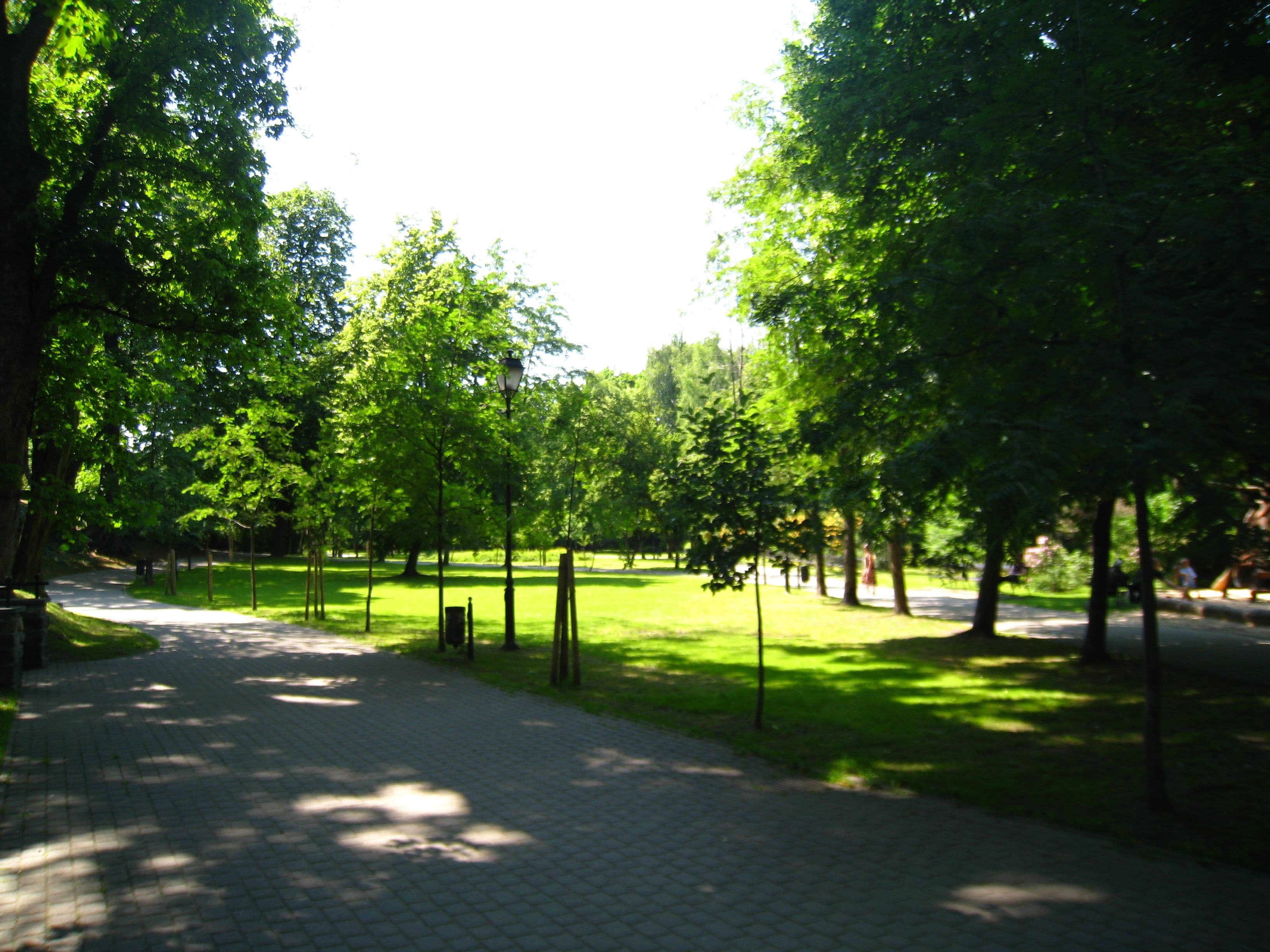 Planty Park in Mikołów