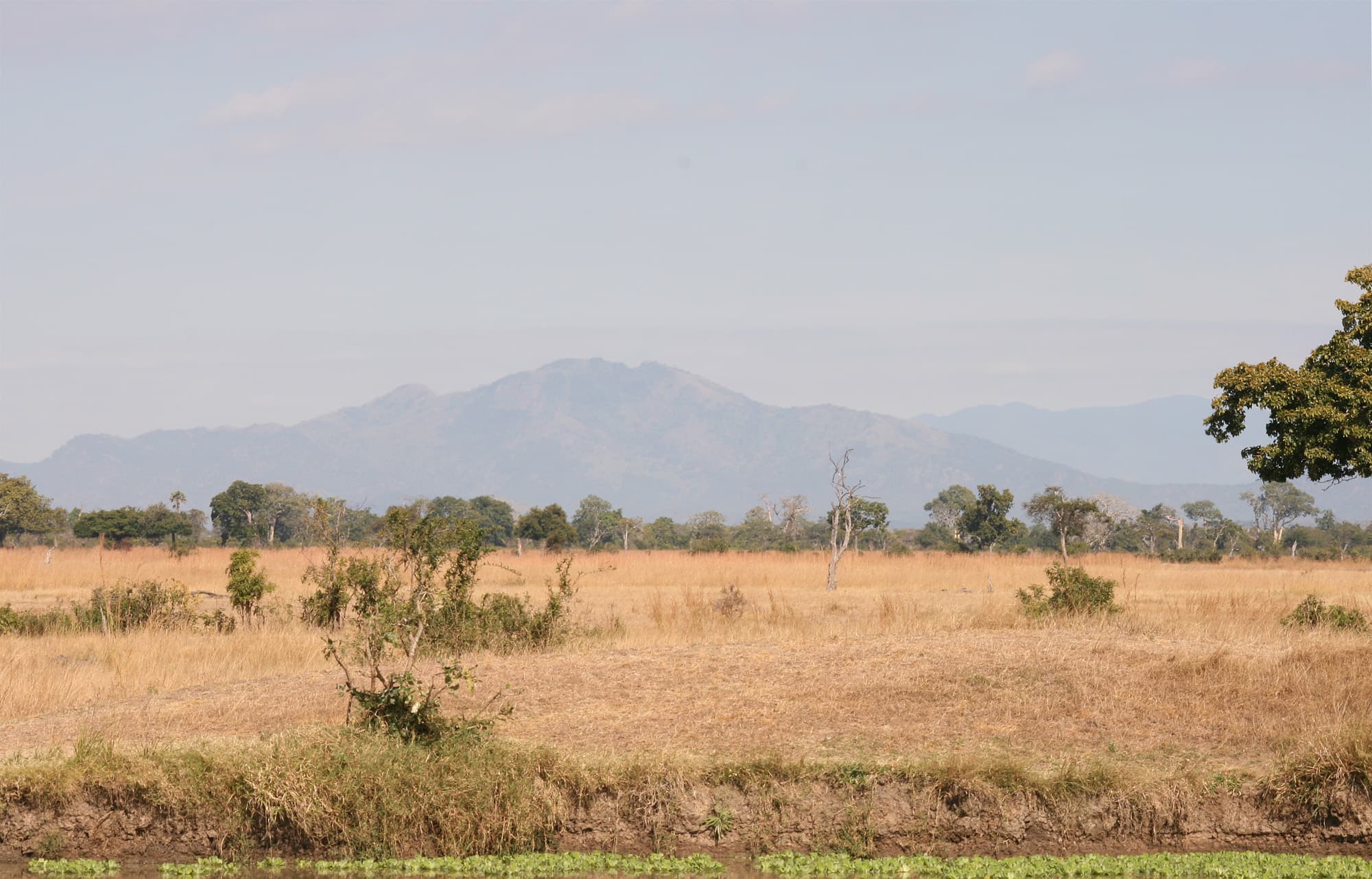 Mikumi National Park