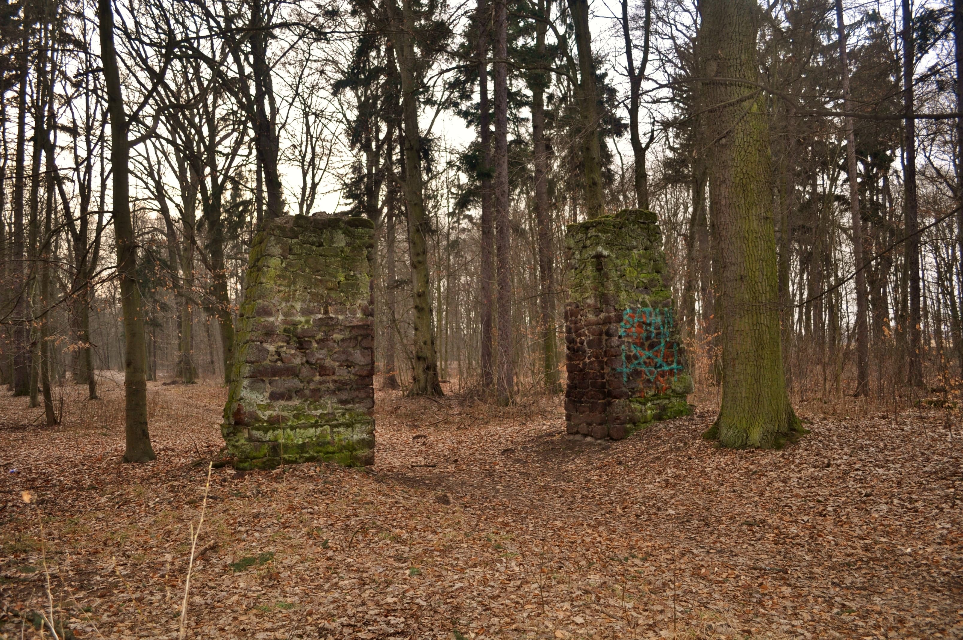 Palace Park in Milicz