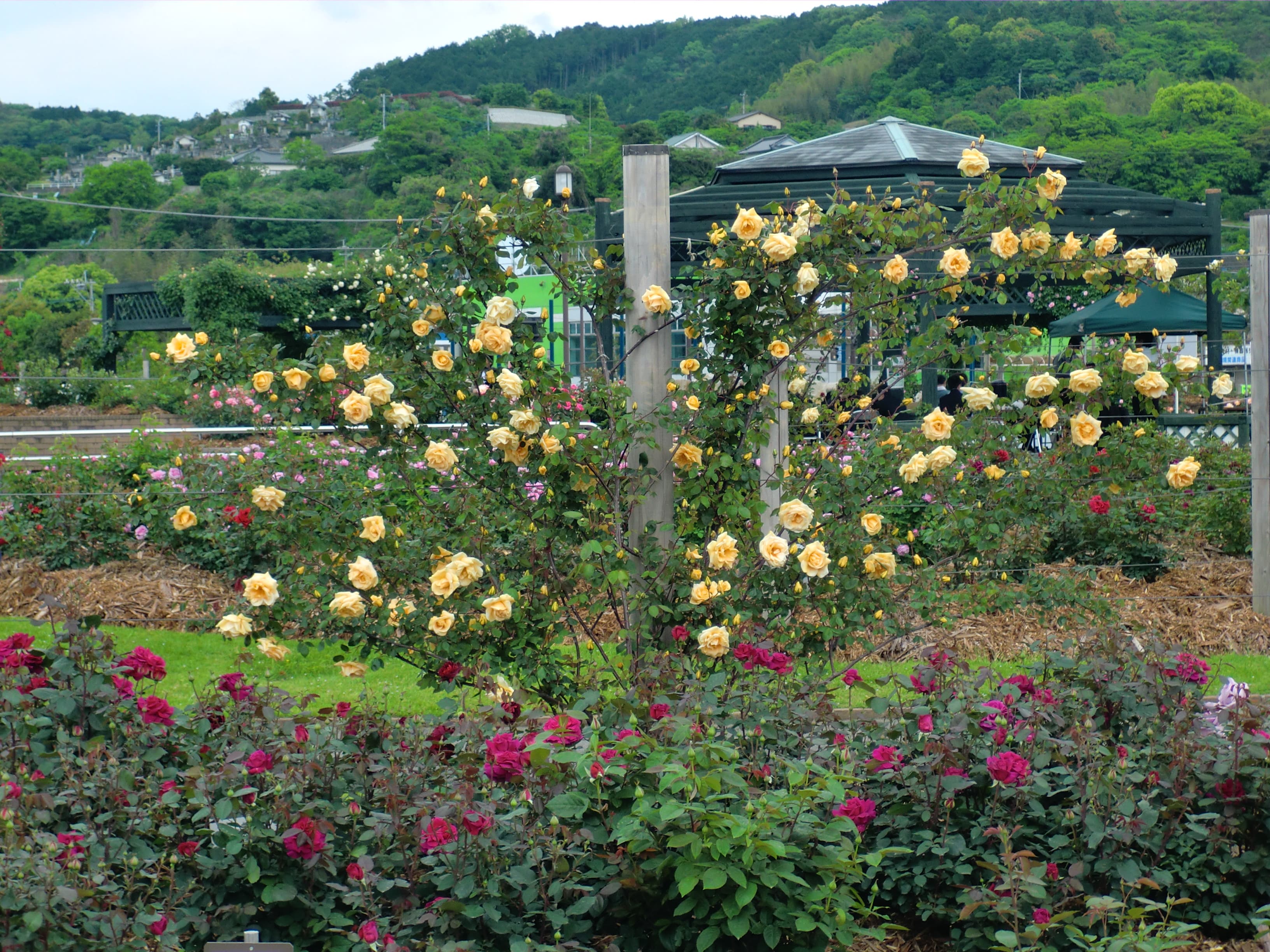 Ecopark Minamata
