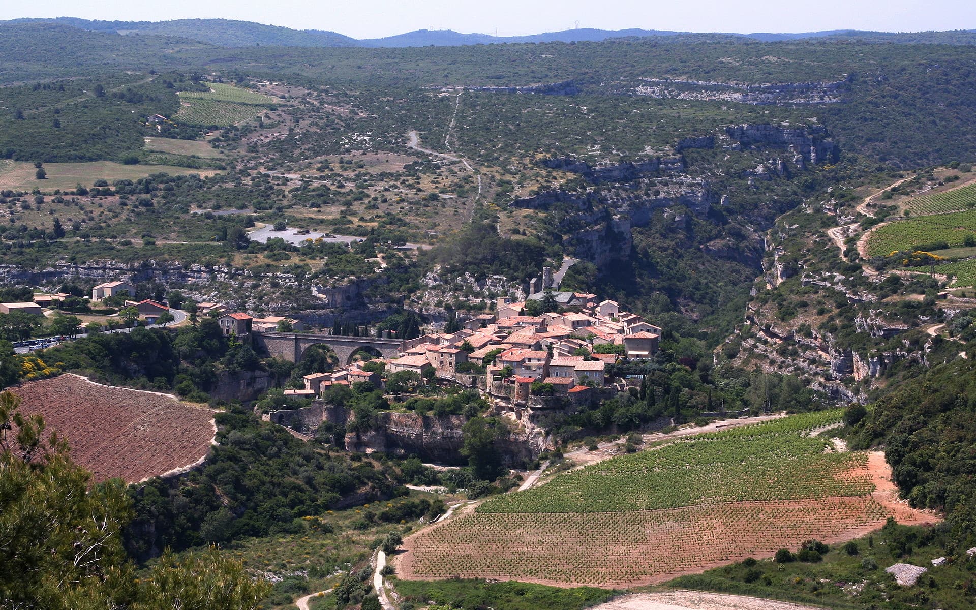 Minerve