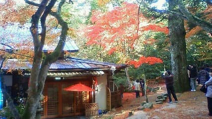Momijidani Park