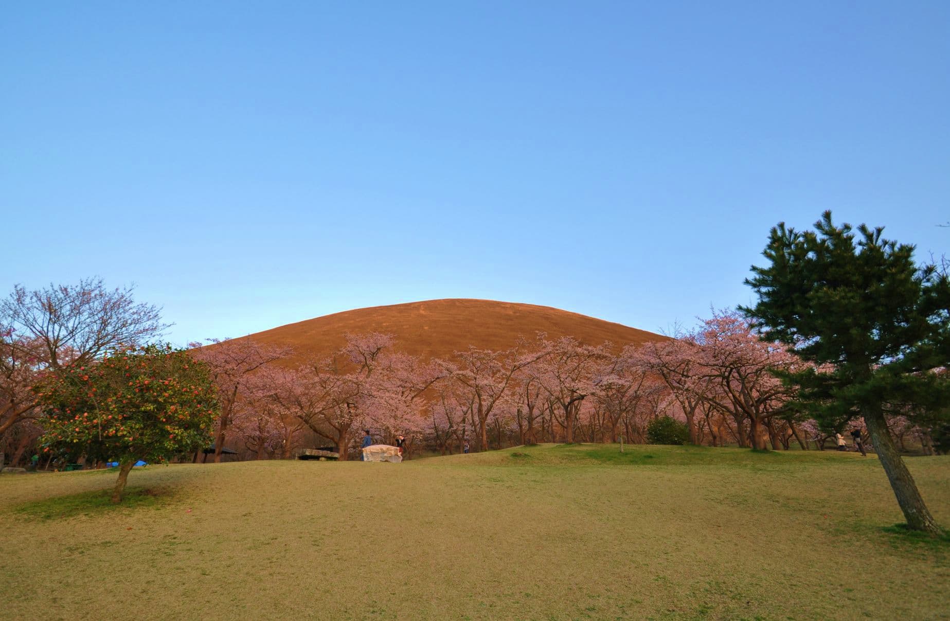 Sakura no Sato