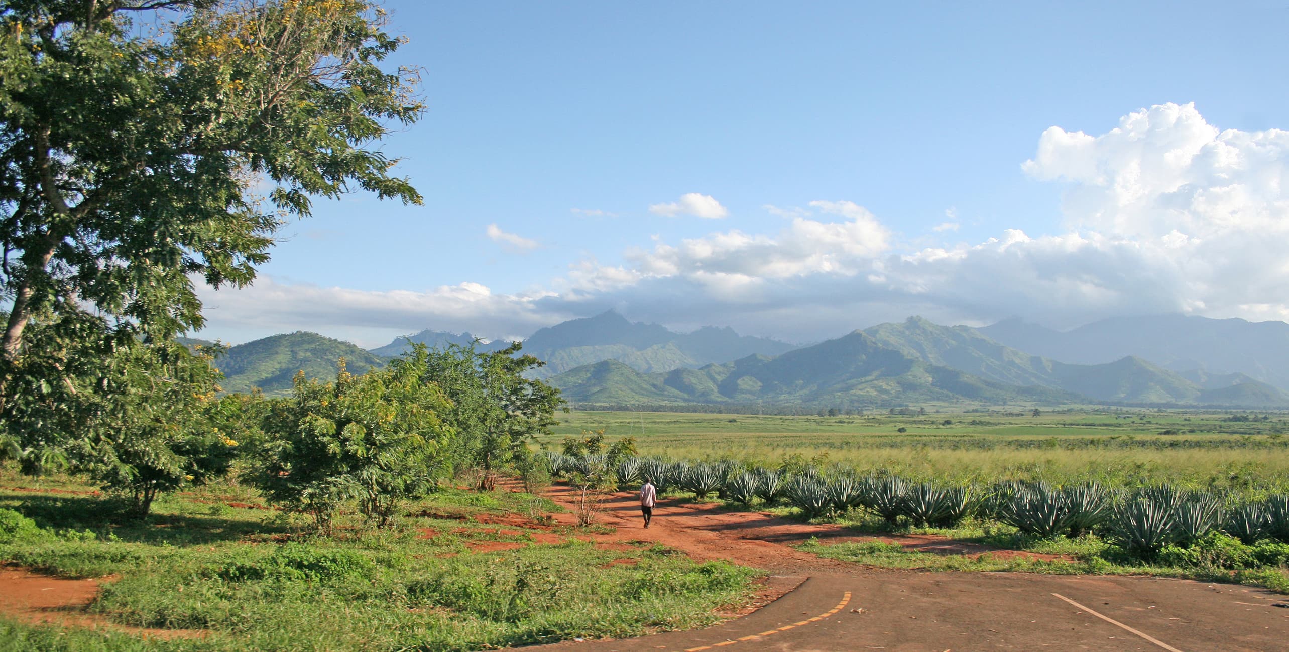 Morogoro Region