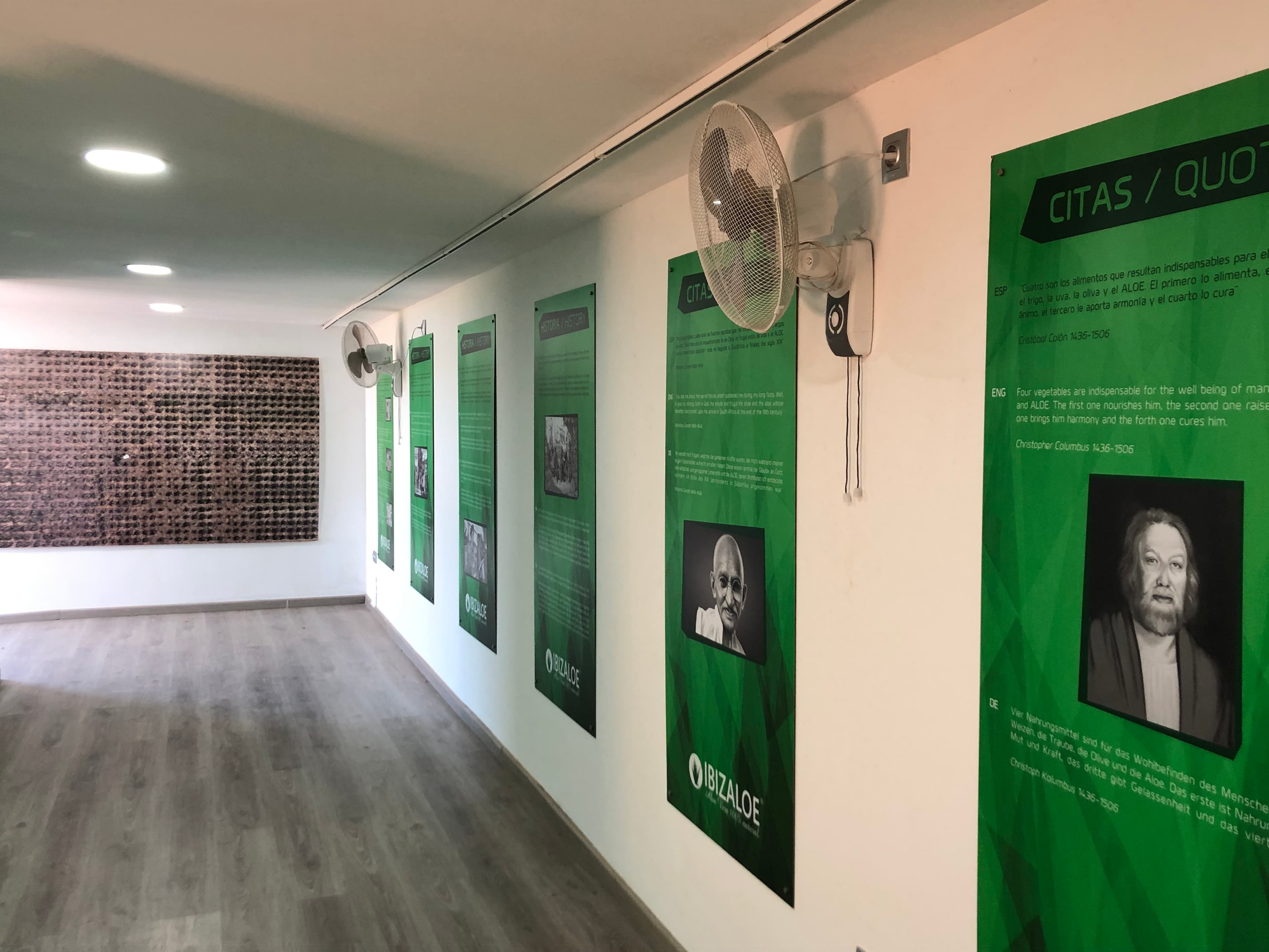 Aloe Vera Ibiza Museum