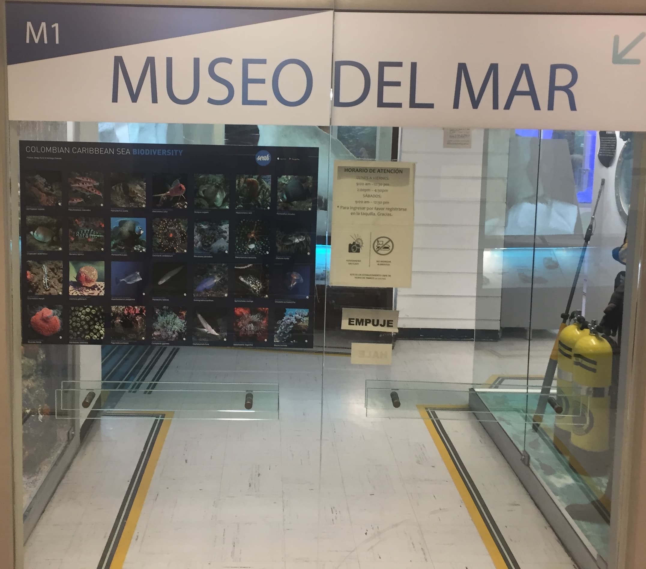 Museum of El Mar, Bogotá