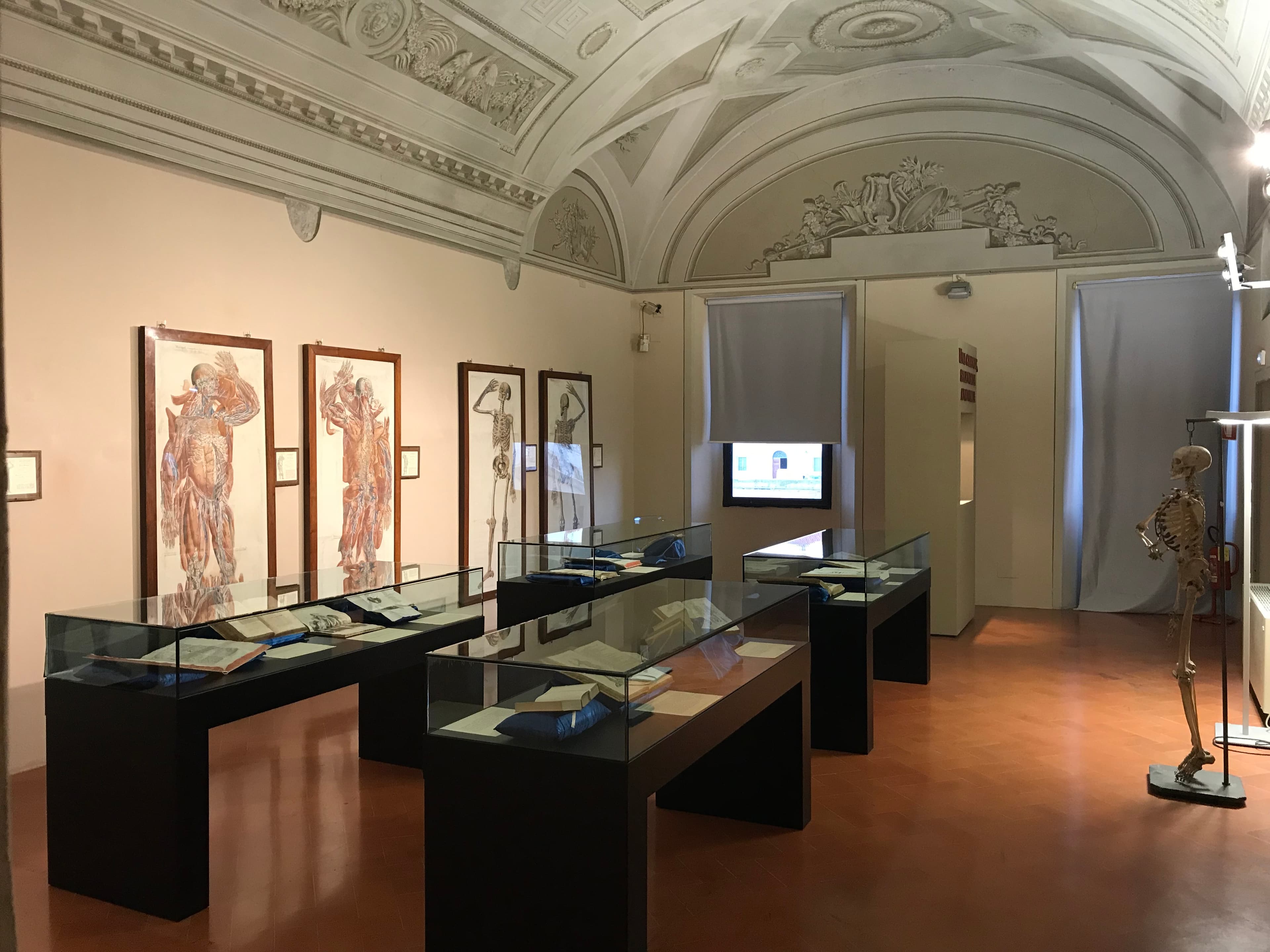 Museo della Grafica