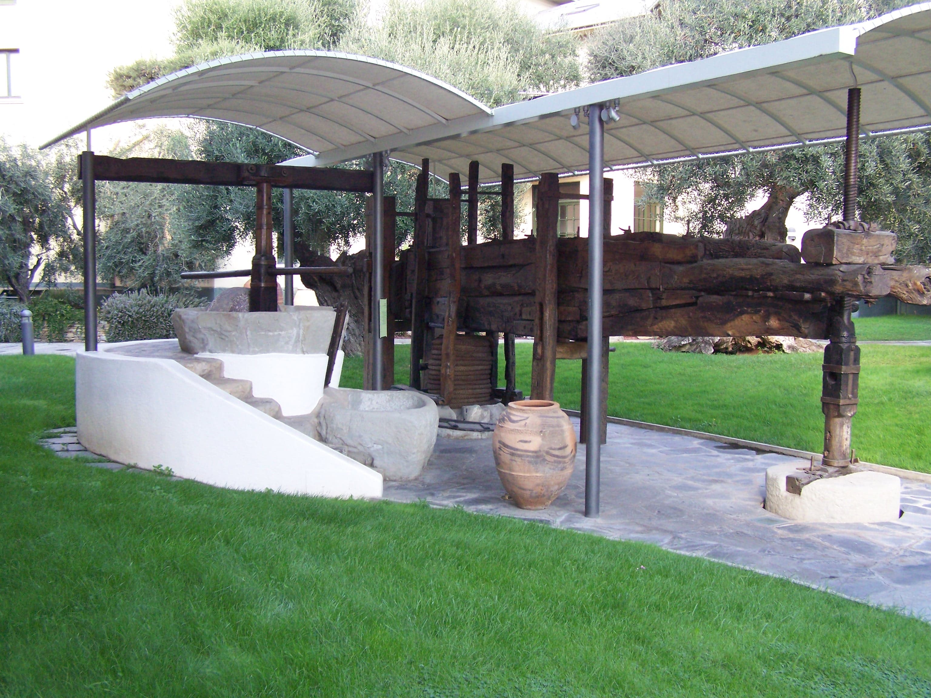 Museo dell'Olivo