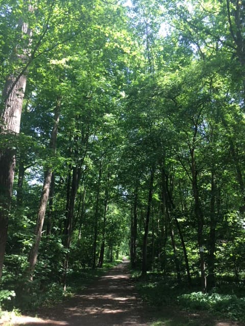 Englischer Garten (Neuburg an der Donau)