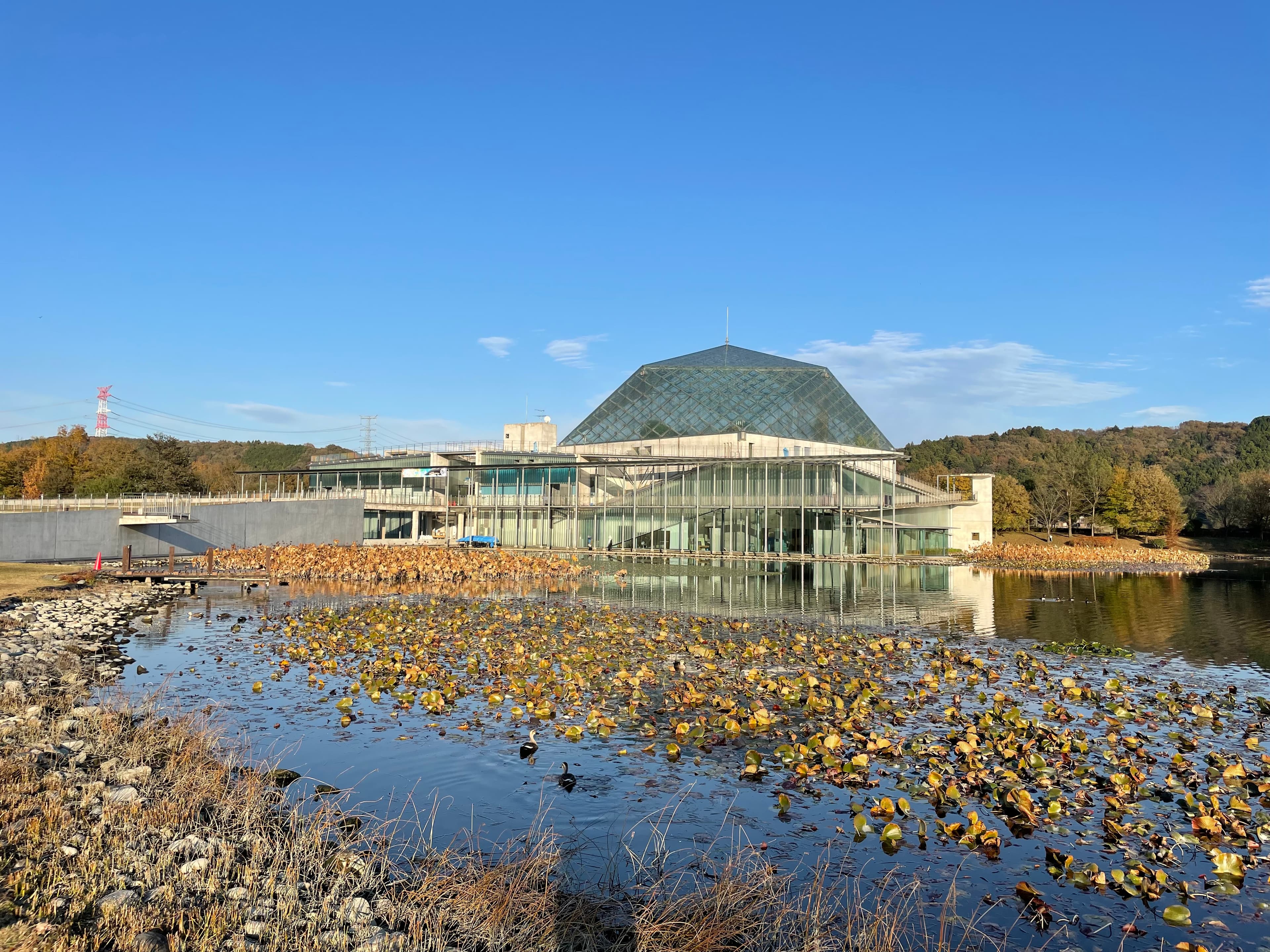 Tochigi Nakagawa Aquatic Park