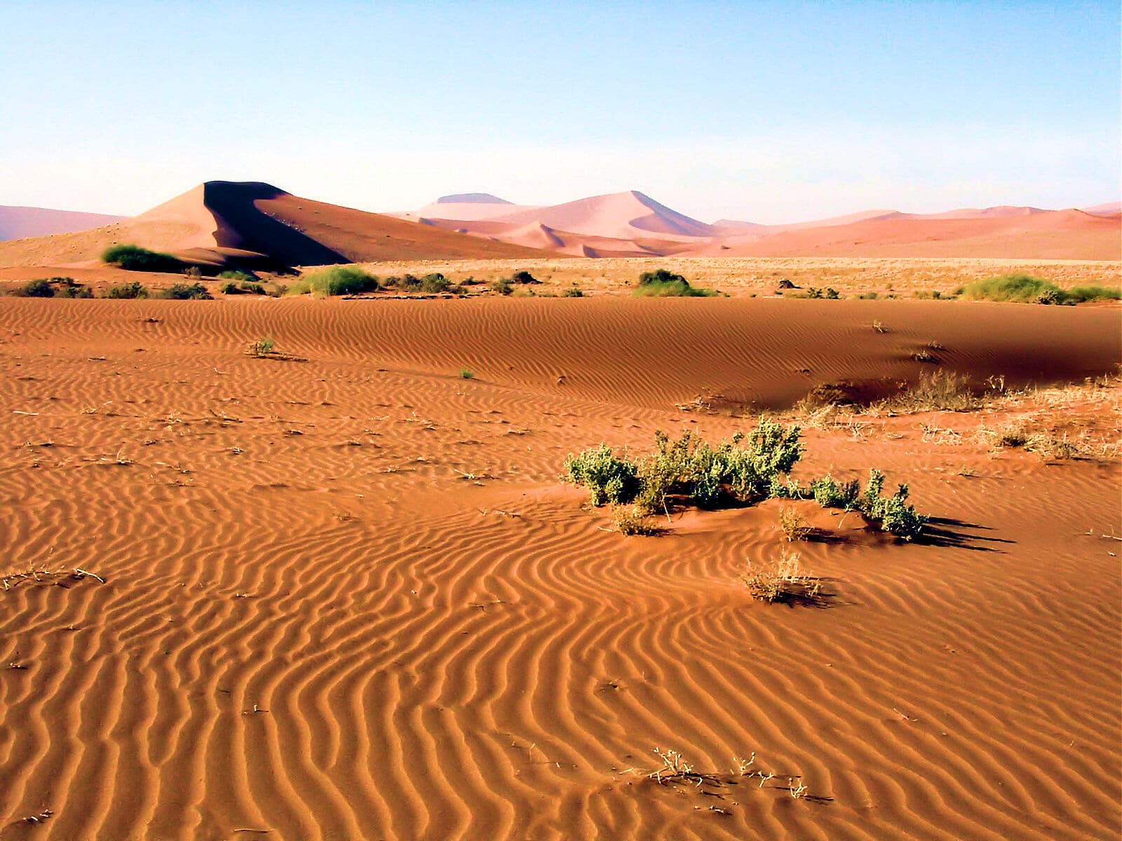 Namib-Naukluft National Park