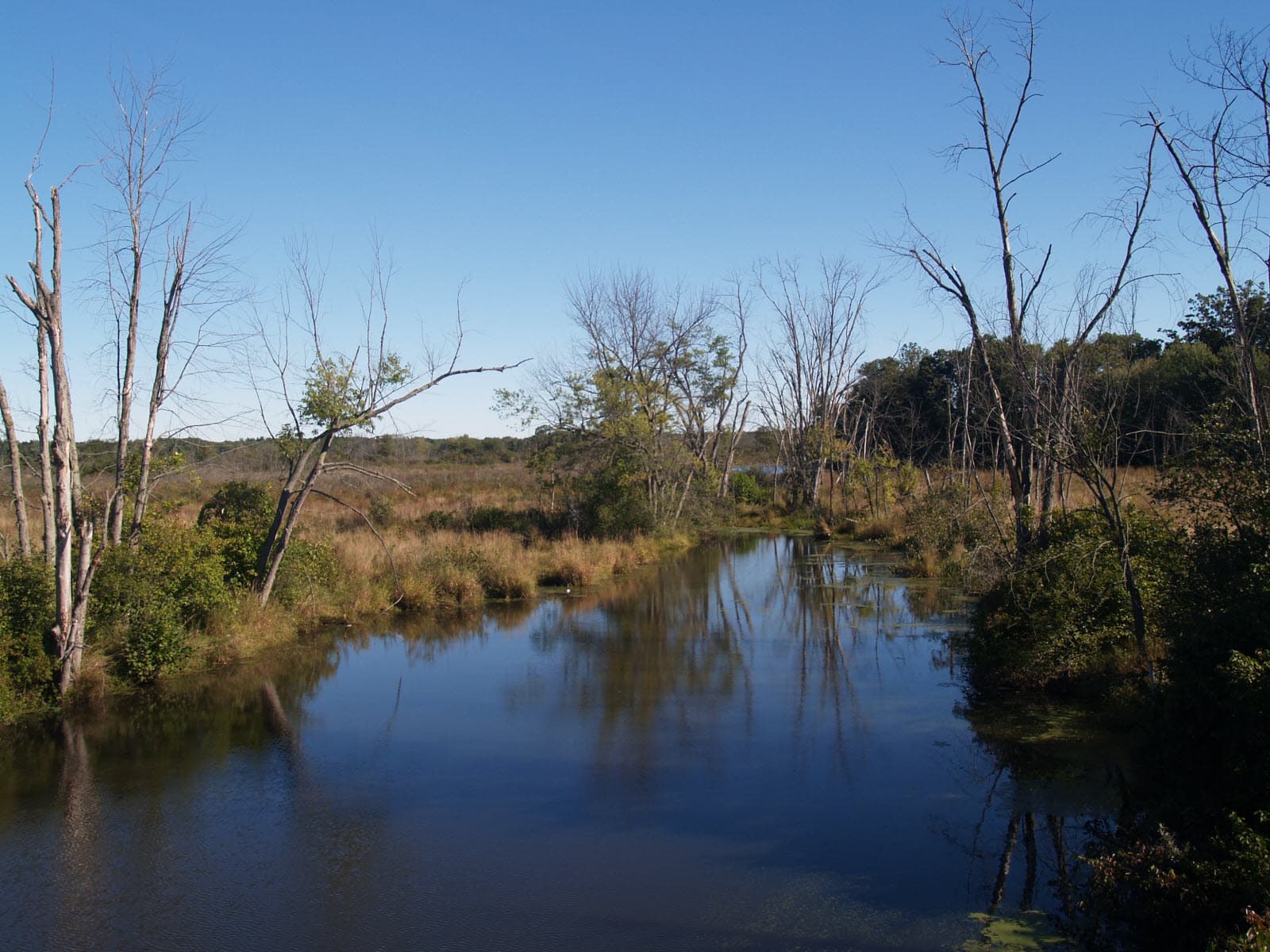 Bolton Flats Wildlife Management Area