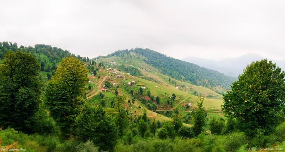 Talesh County