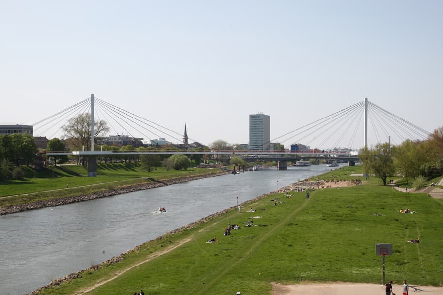 Neckarwiese (Mannheim)