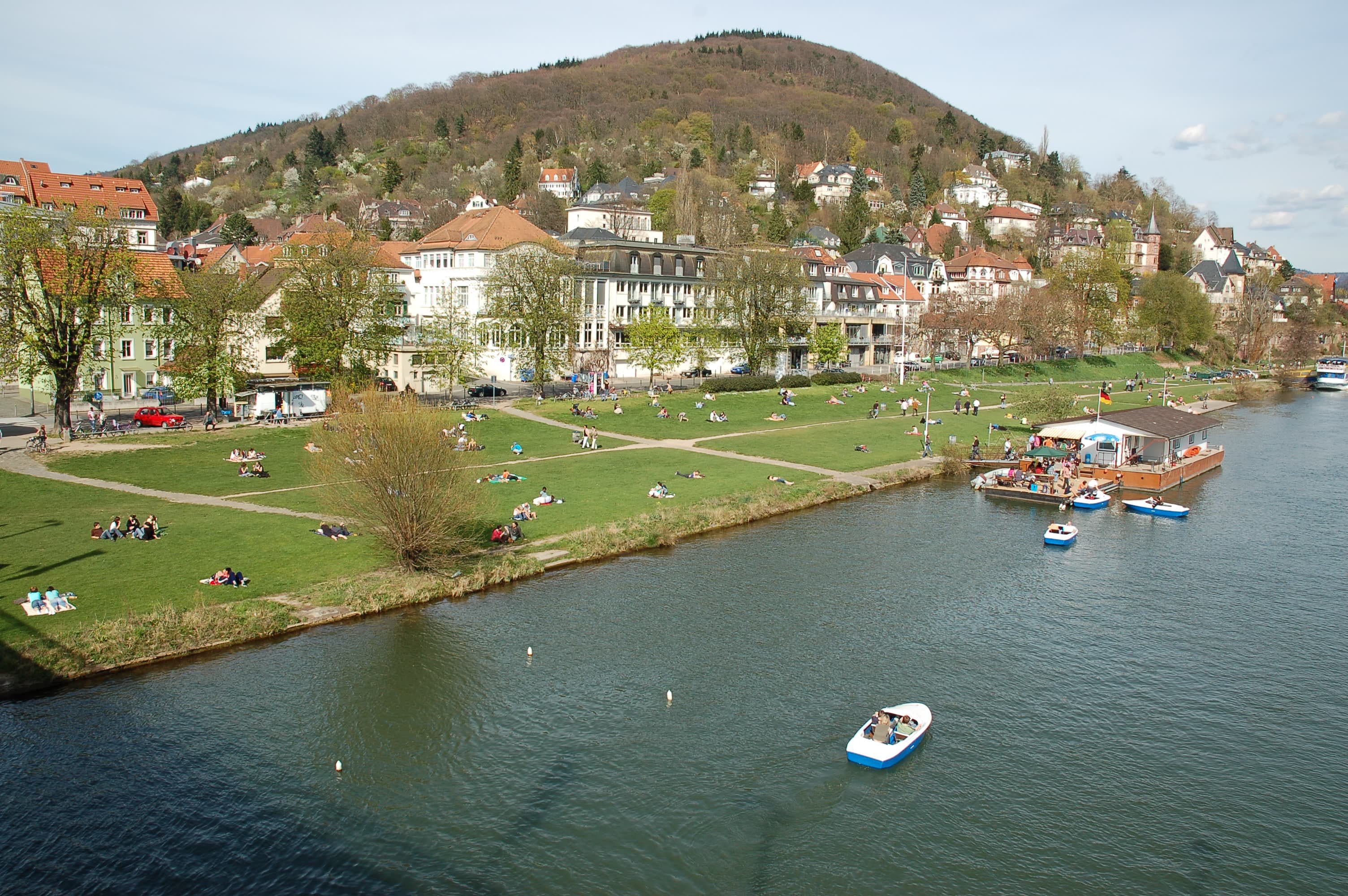 Neckarwiese (Heidelberg)