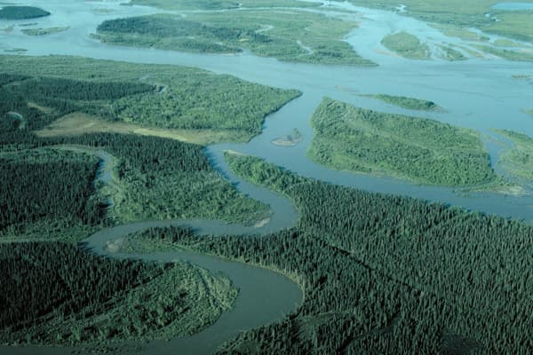 Noatak River