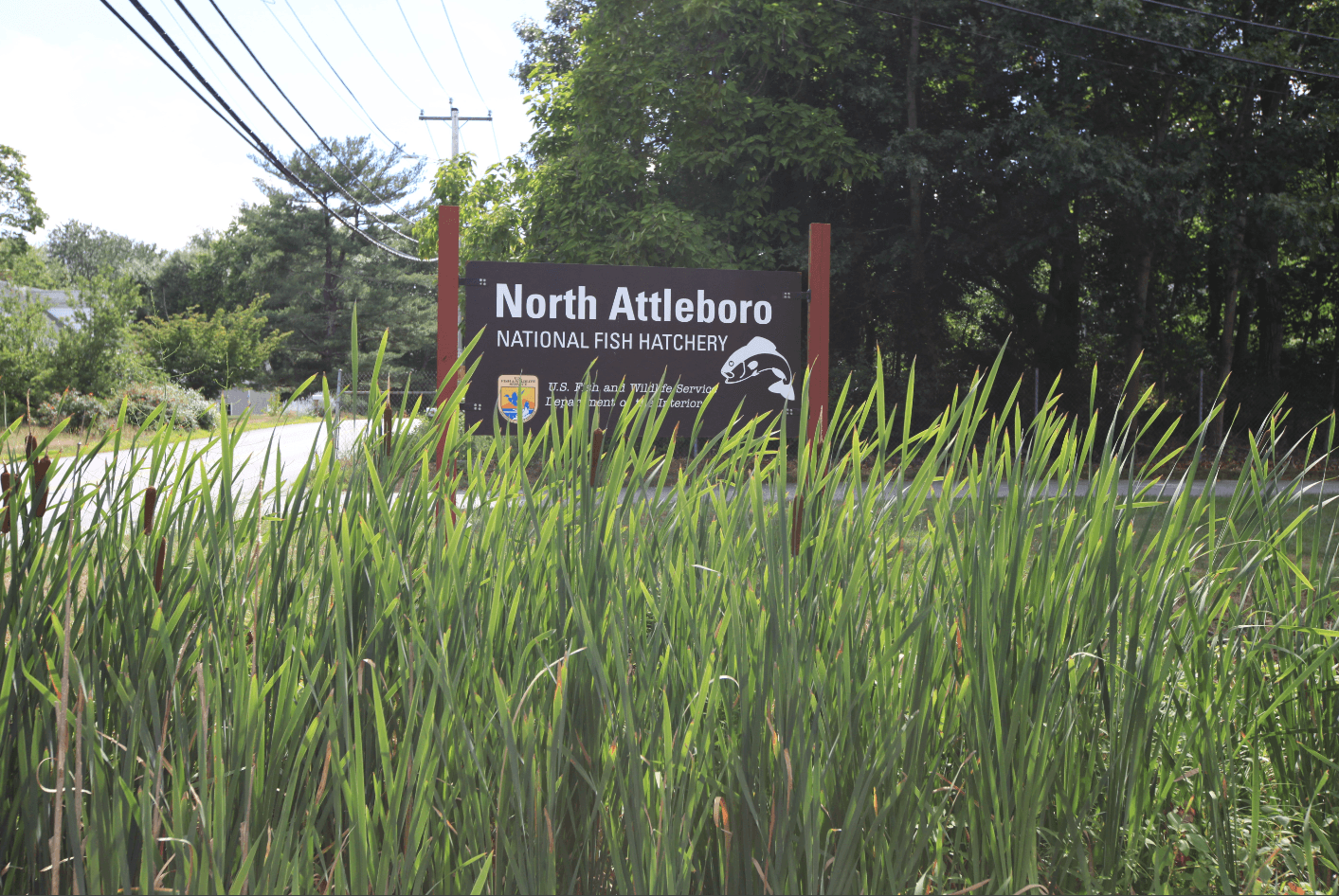 North Attleboro National Fish Hatchery